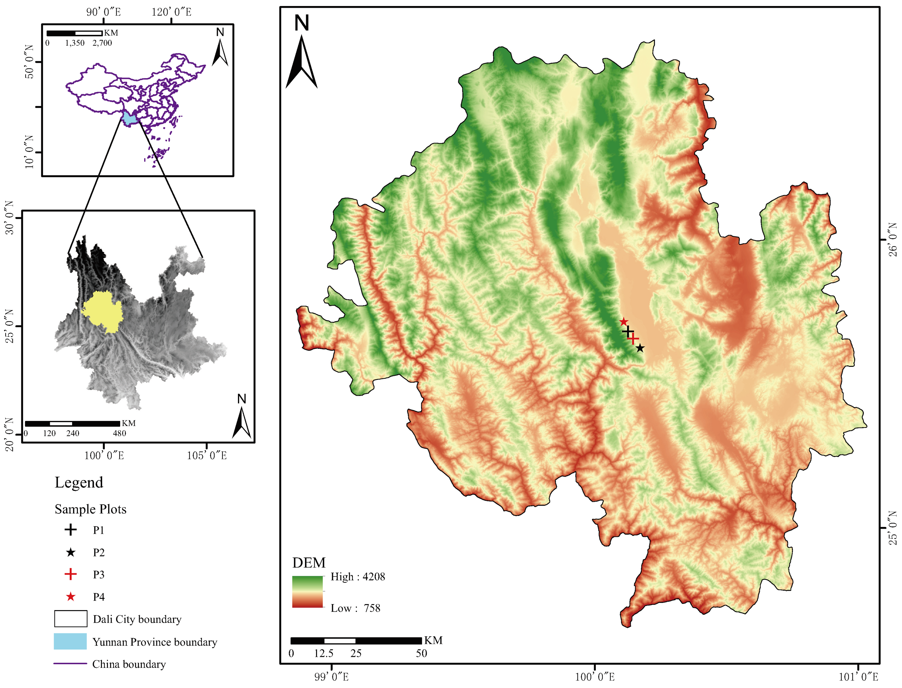 Forests 14 02456 g001