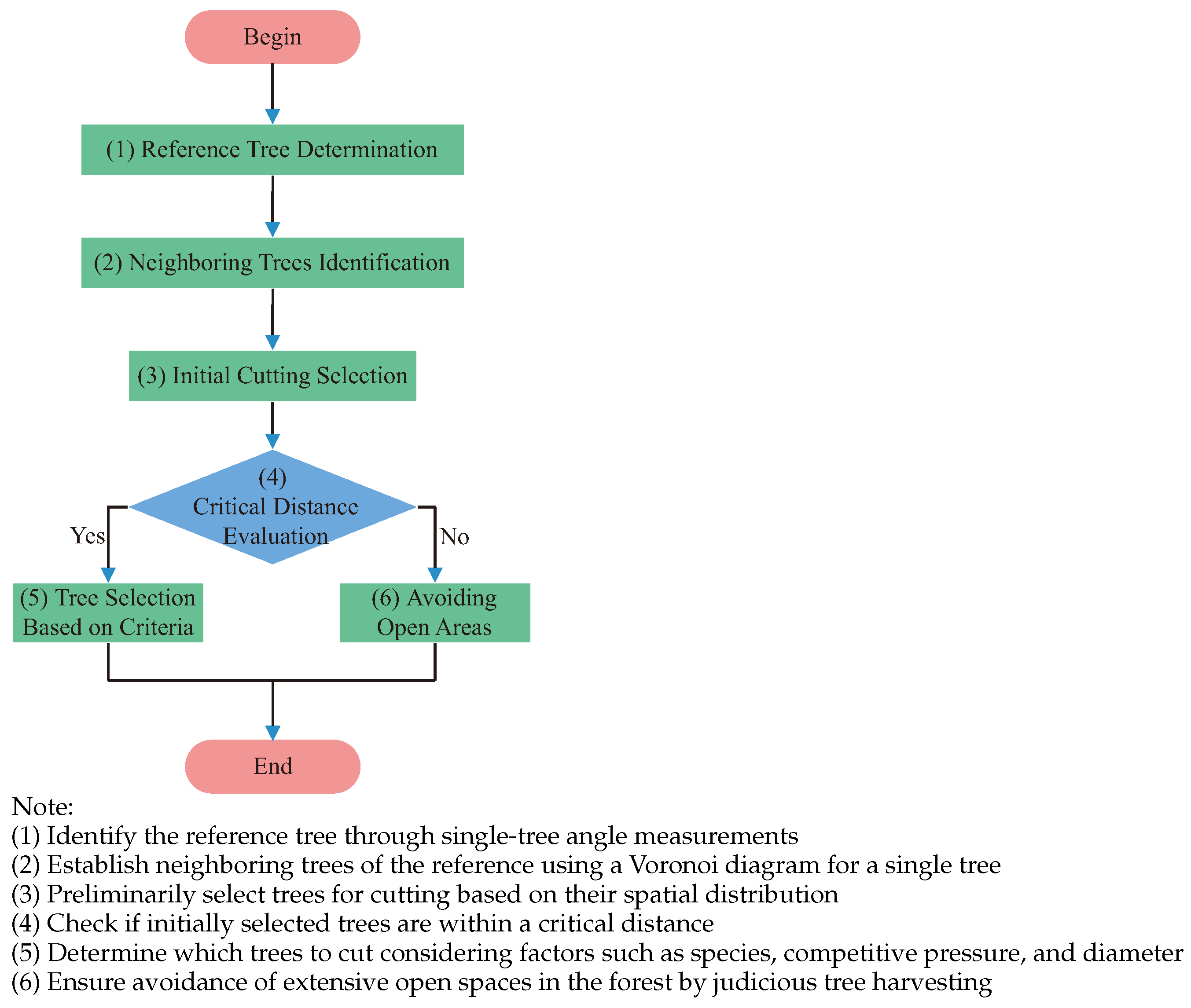 Forests 14 02456 g004