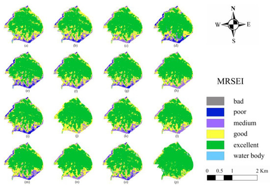 Analysis of Eco-Environmental Quality of an Urban Forest