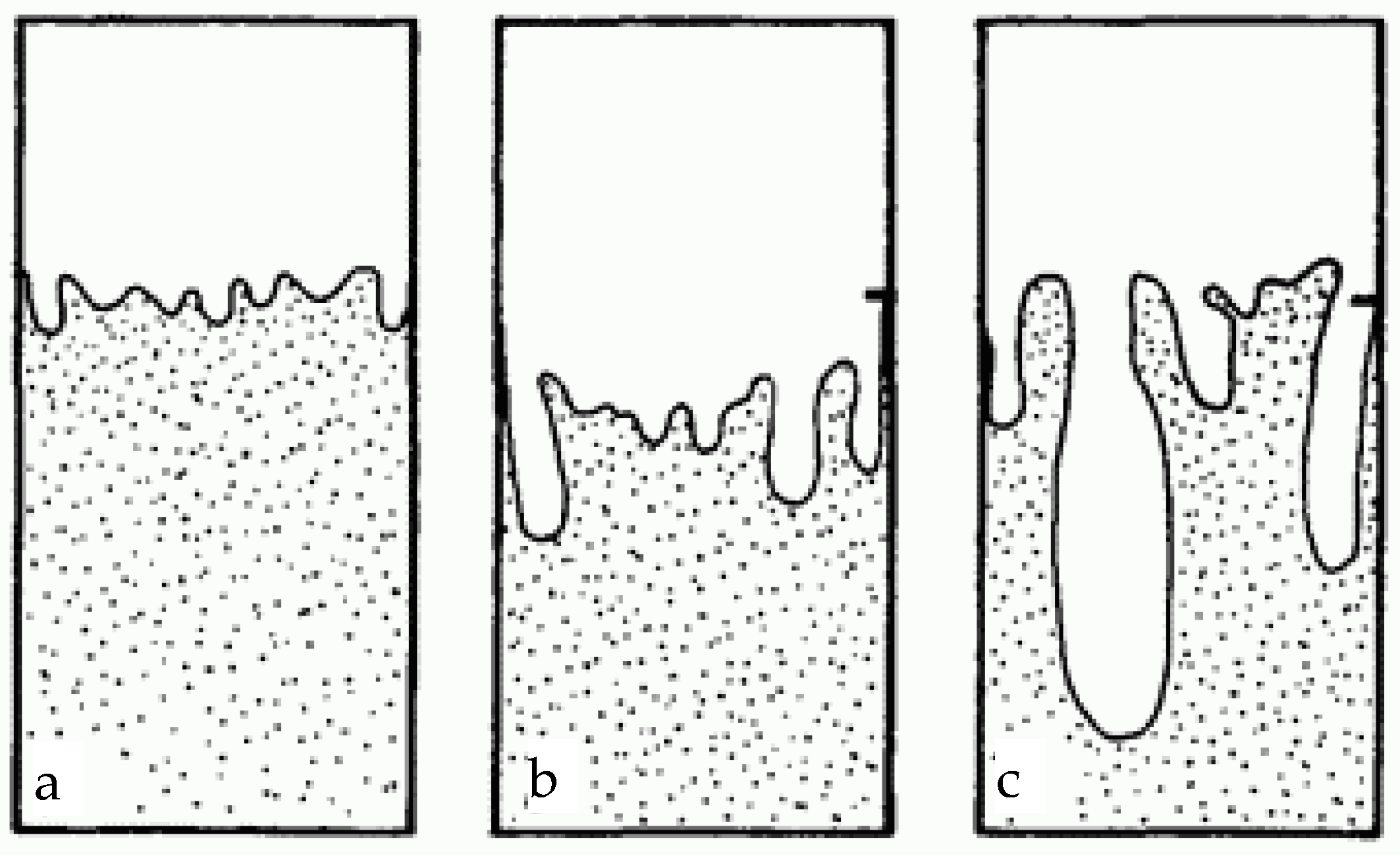 Forests 14 02459 g001 Forests 14 02459 g001