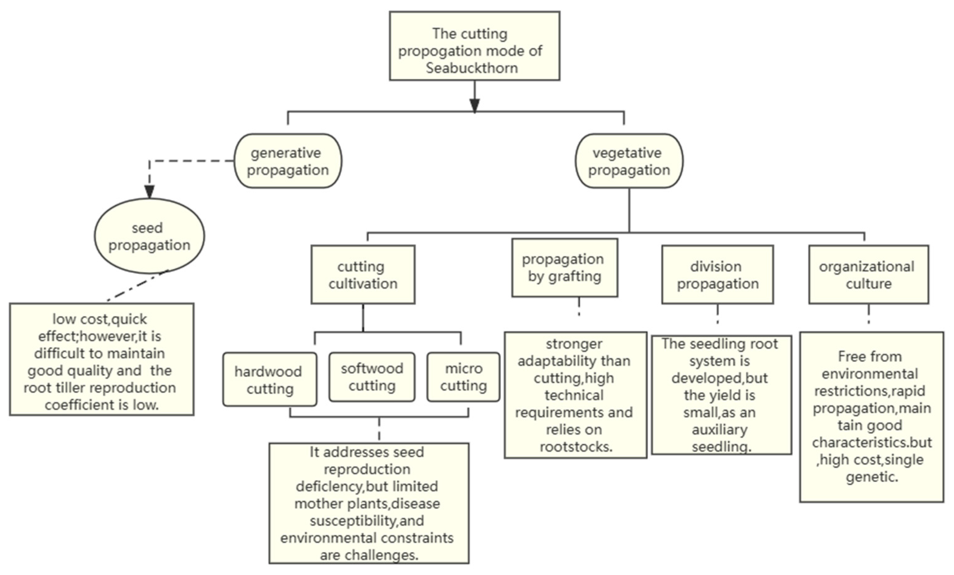 Forests 14 02461 g002