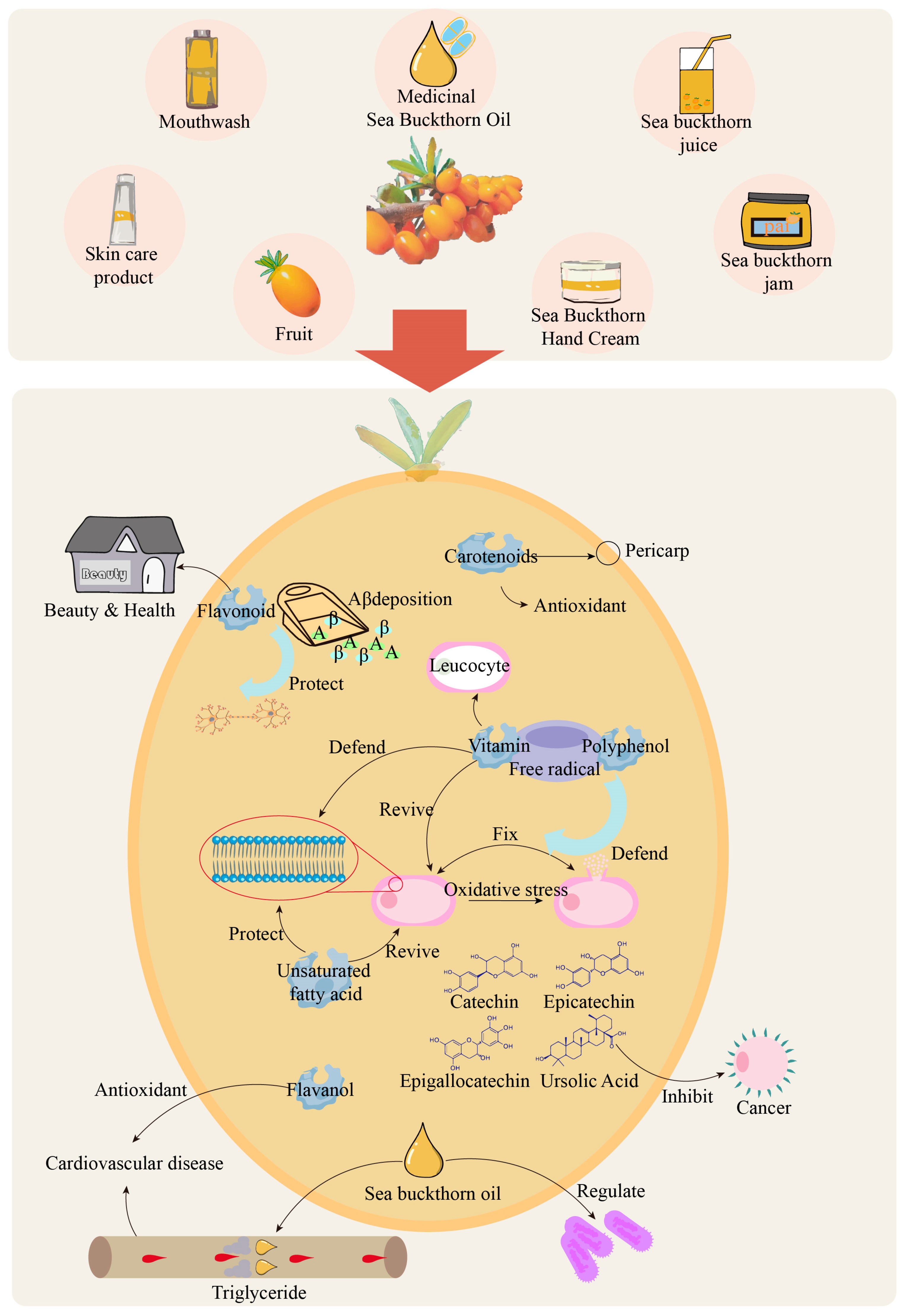 Forests 14 02461 g003