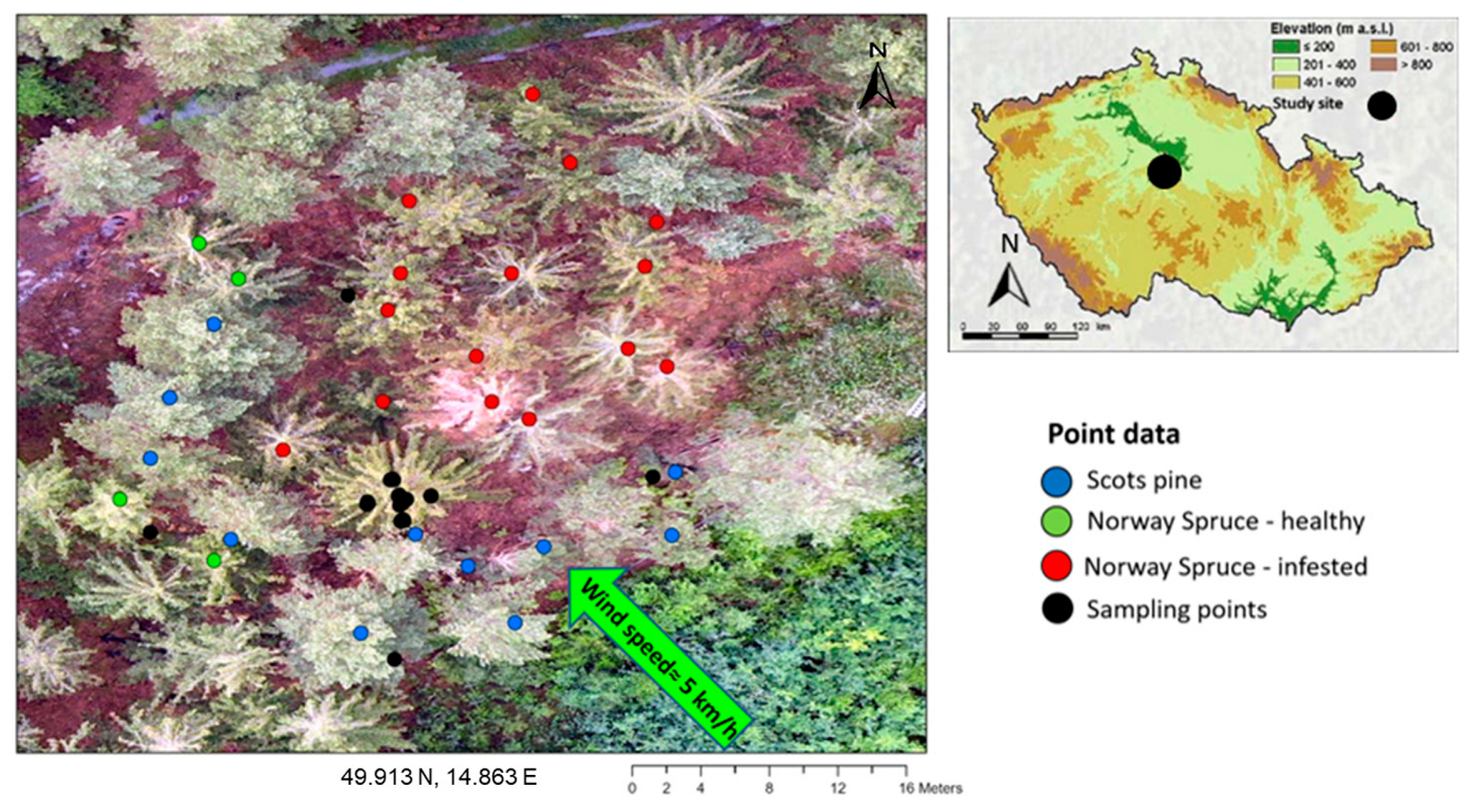 Forests 15 00010 g002