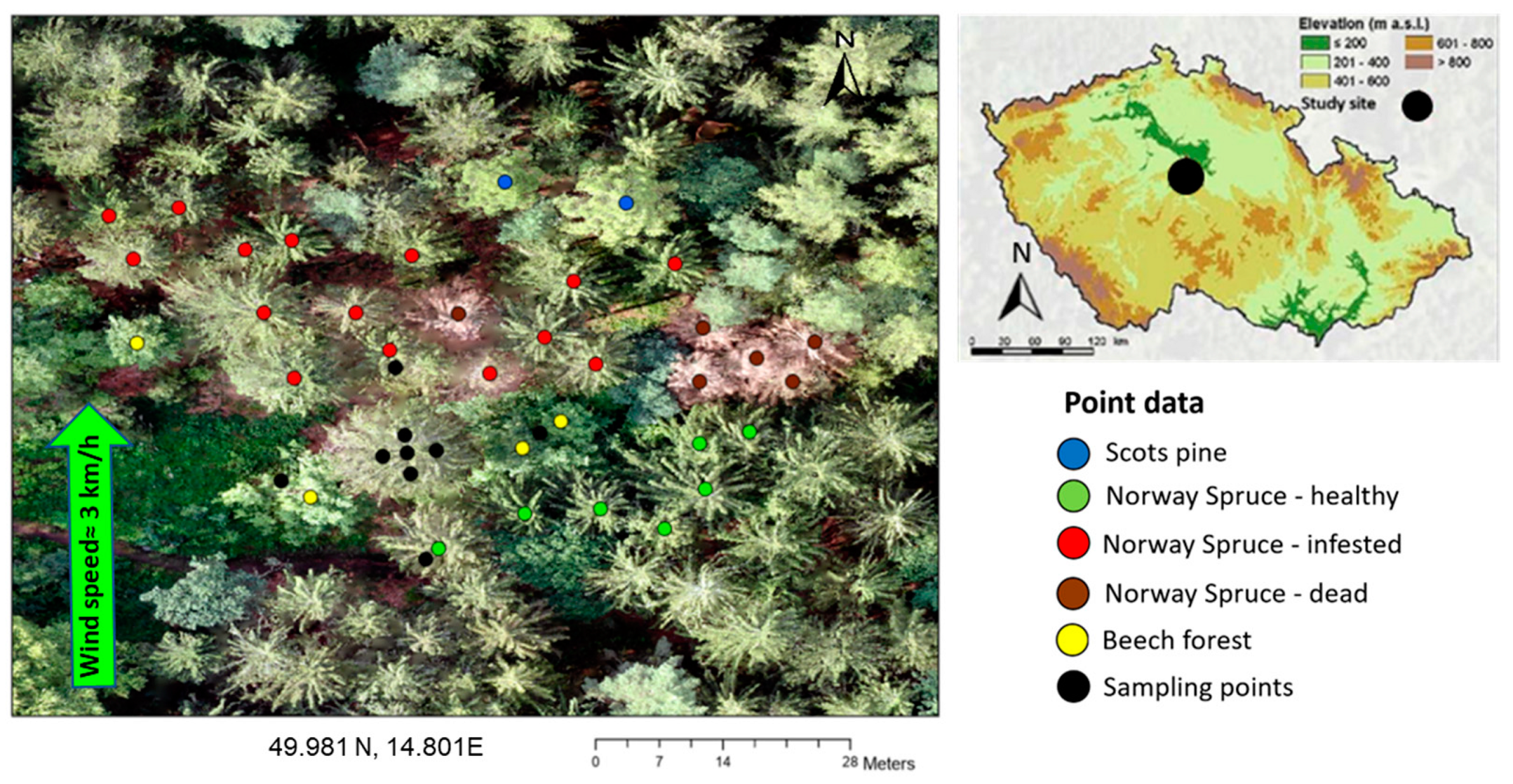Forests 15 00010 g003