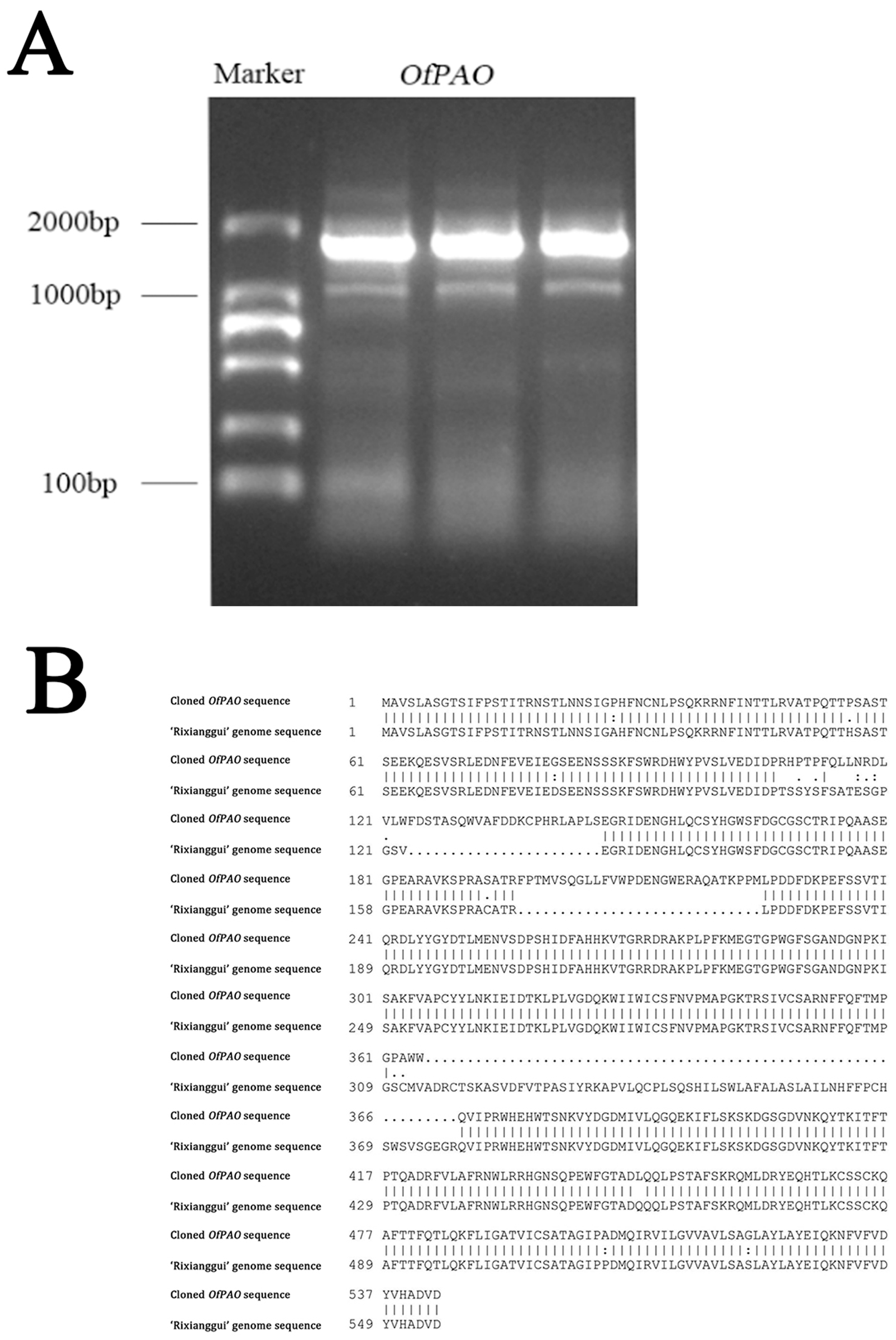 Forests 15 00011 g002