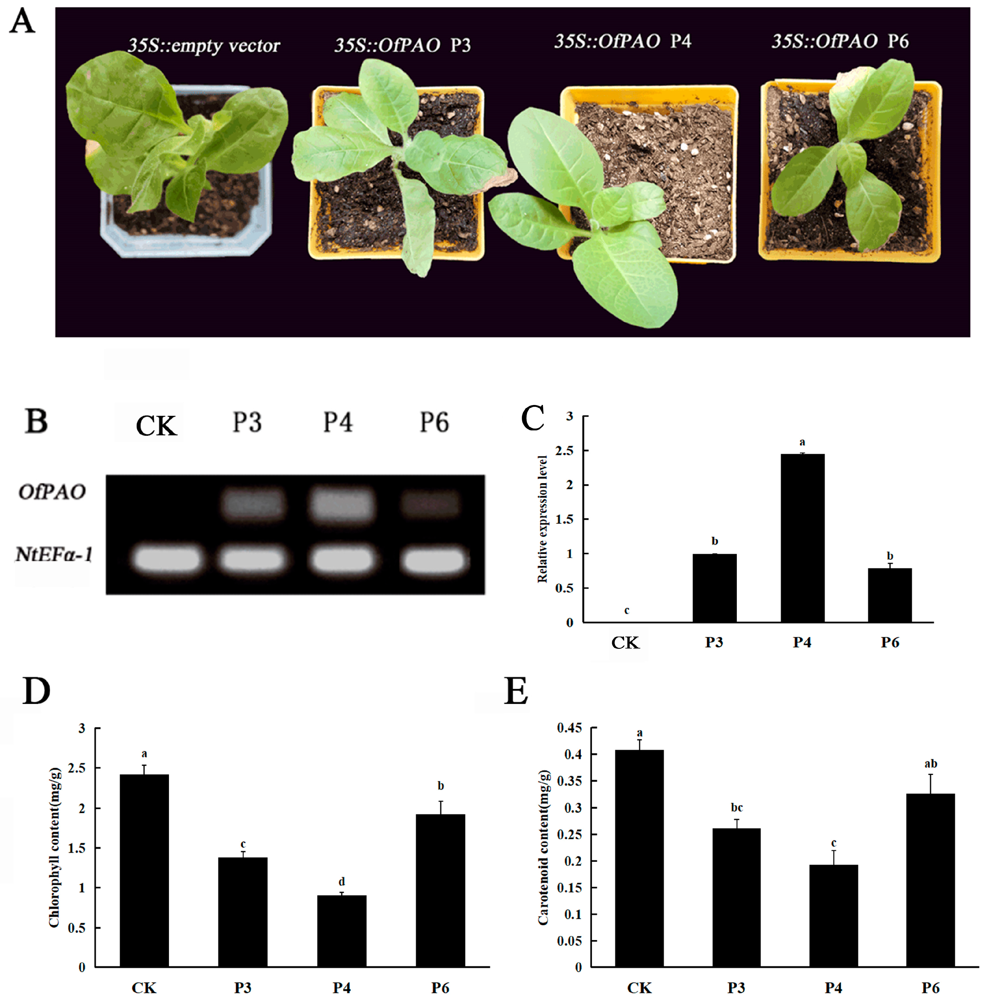Forests 15 00011 g006