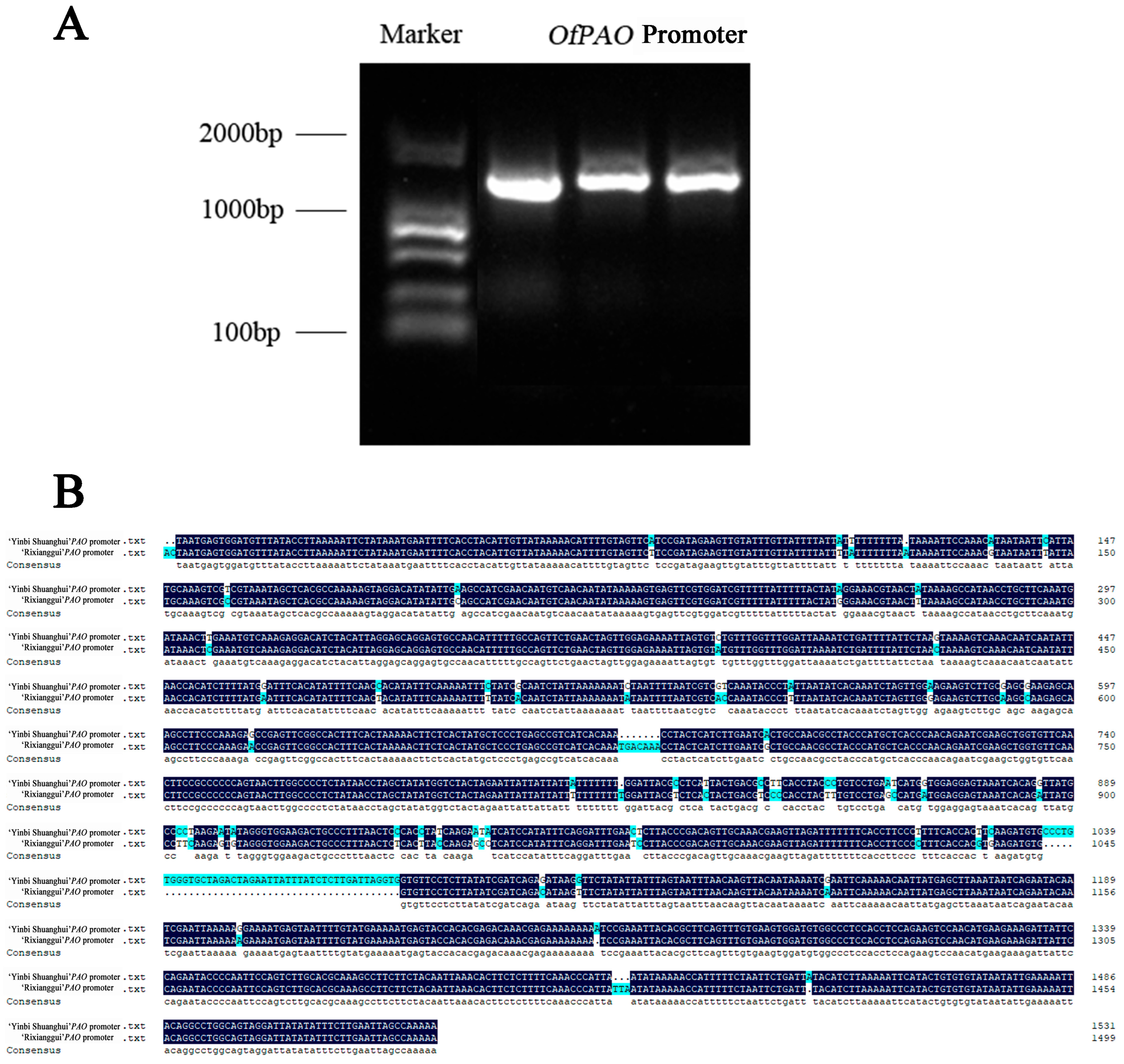 Forests 15 00011 g007