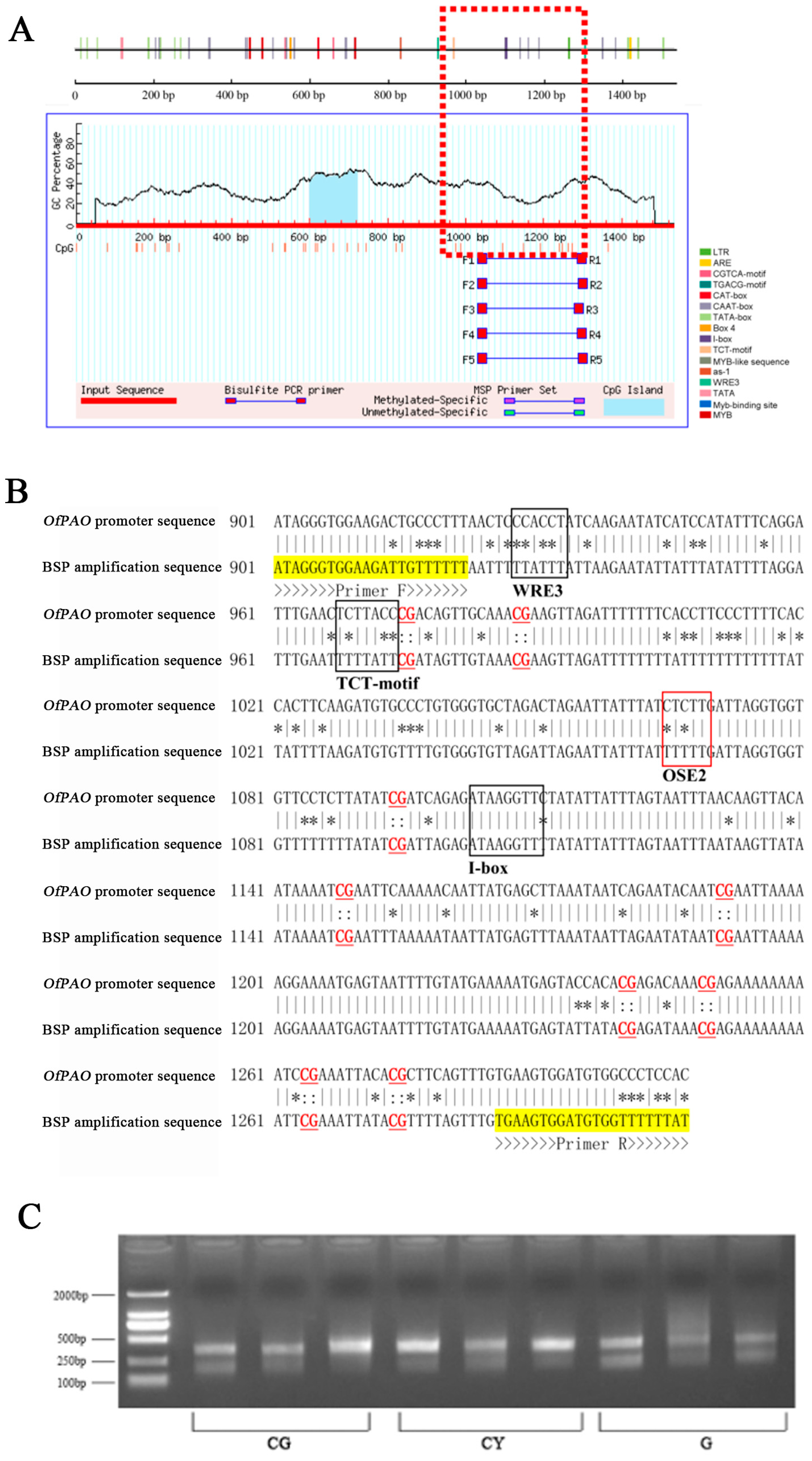 Forests 15 00011 g008