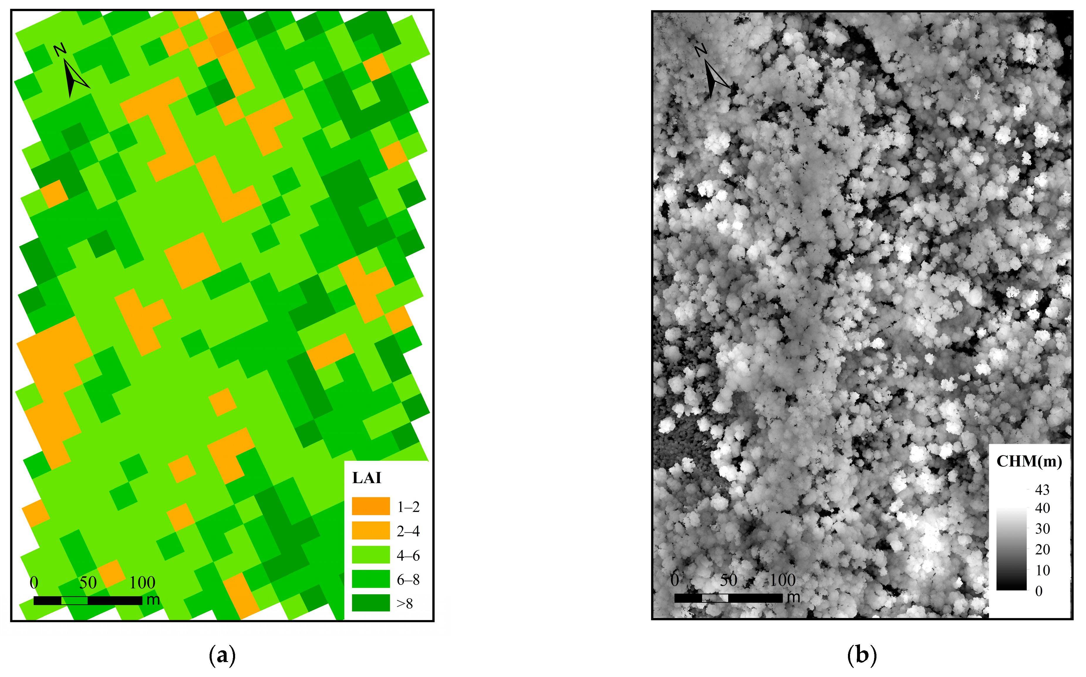 Forests 15 00017 g005
