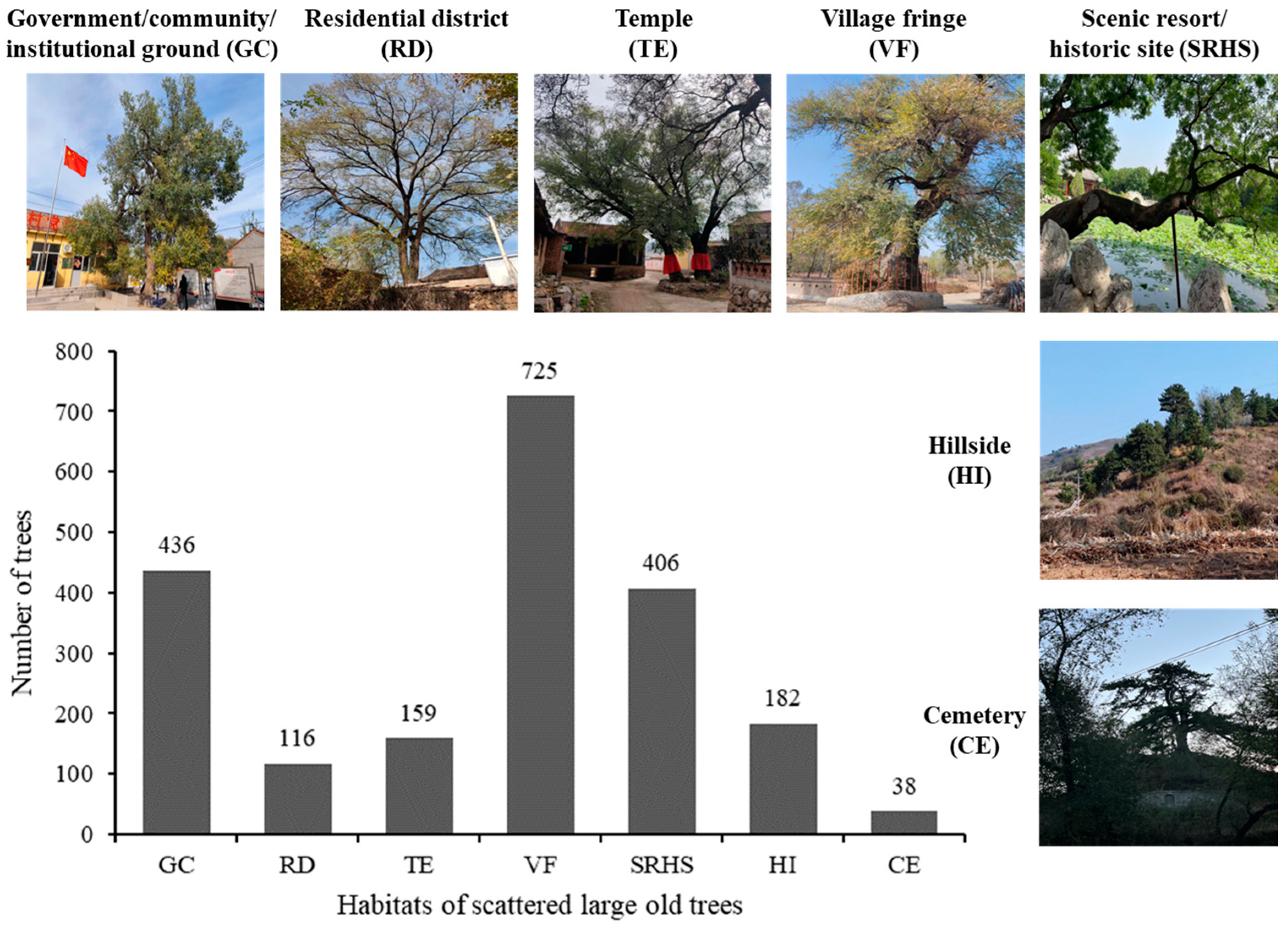 Forests 15 00018 g004 Forests 15 00018 g004