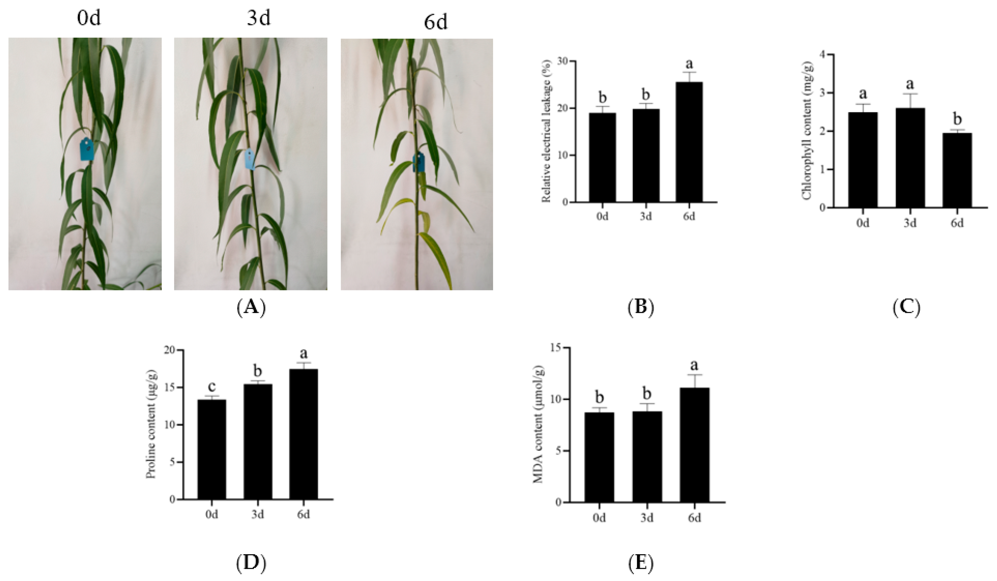 Forests 15 00030 g001