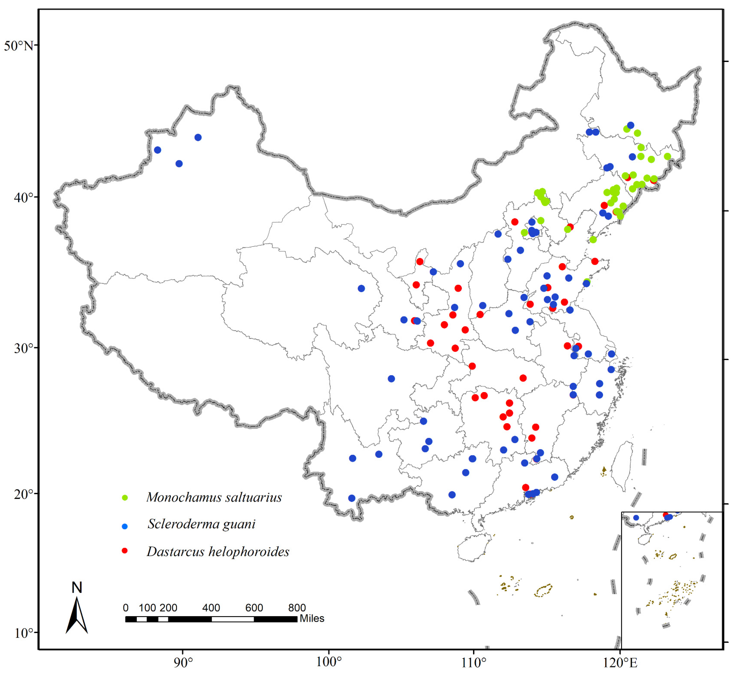 Forests 15 00033 g001