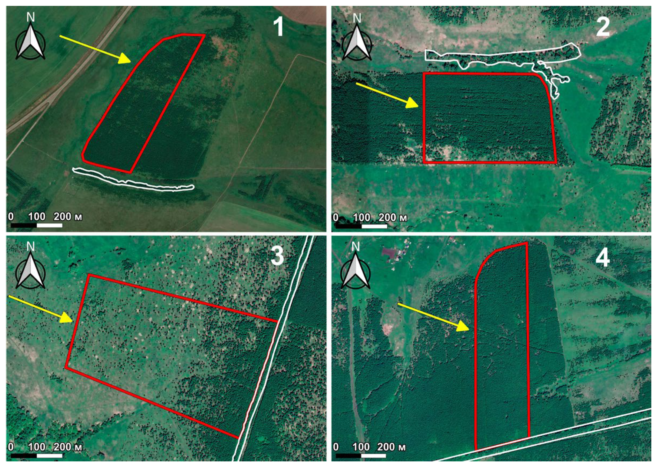 Forests 15 00034 g002