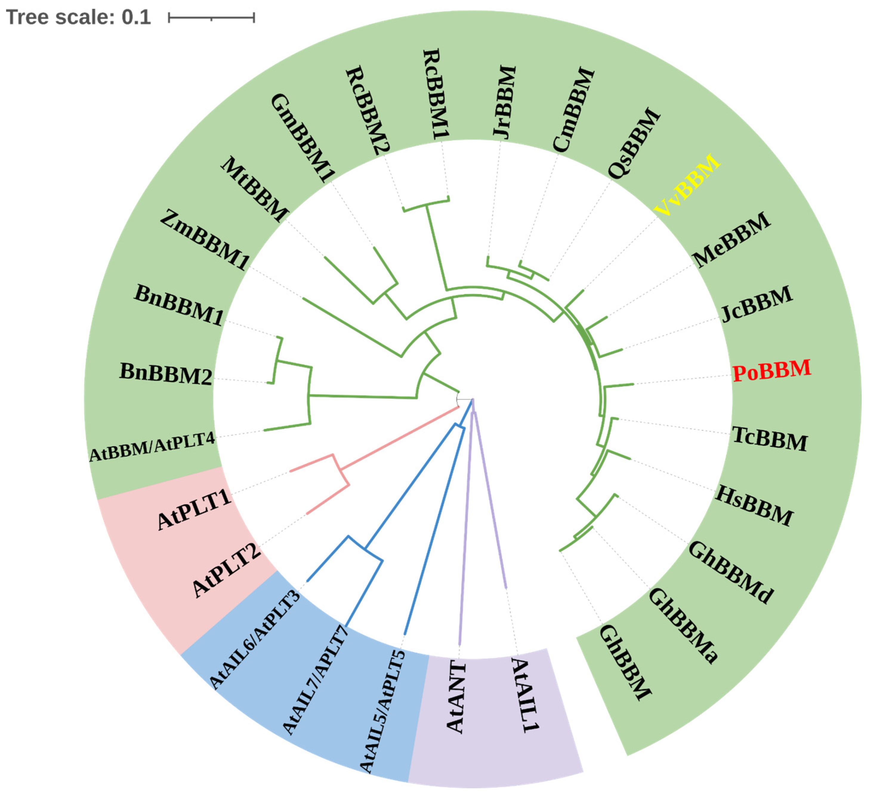 Forests 15 00036 g002