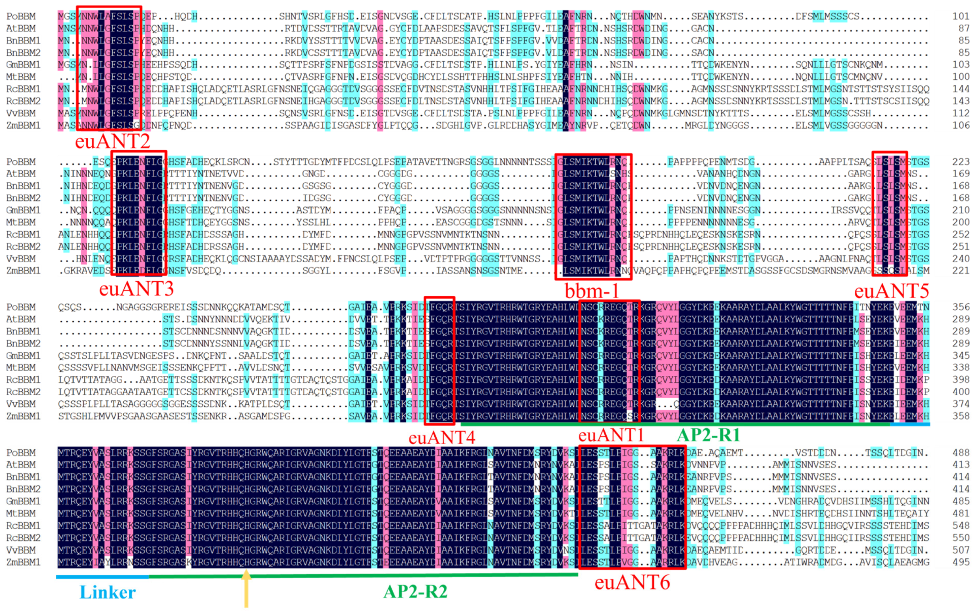 Forests 15 00036 g003