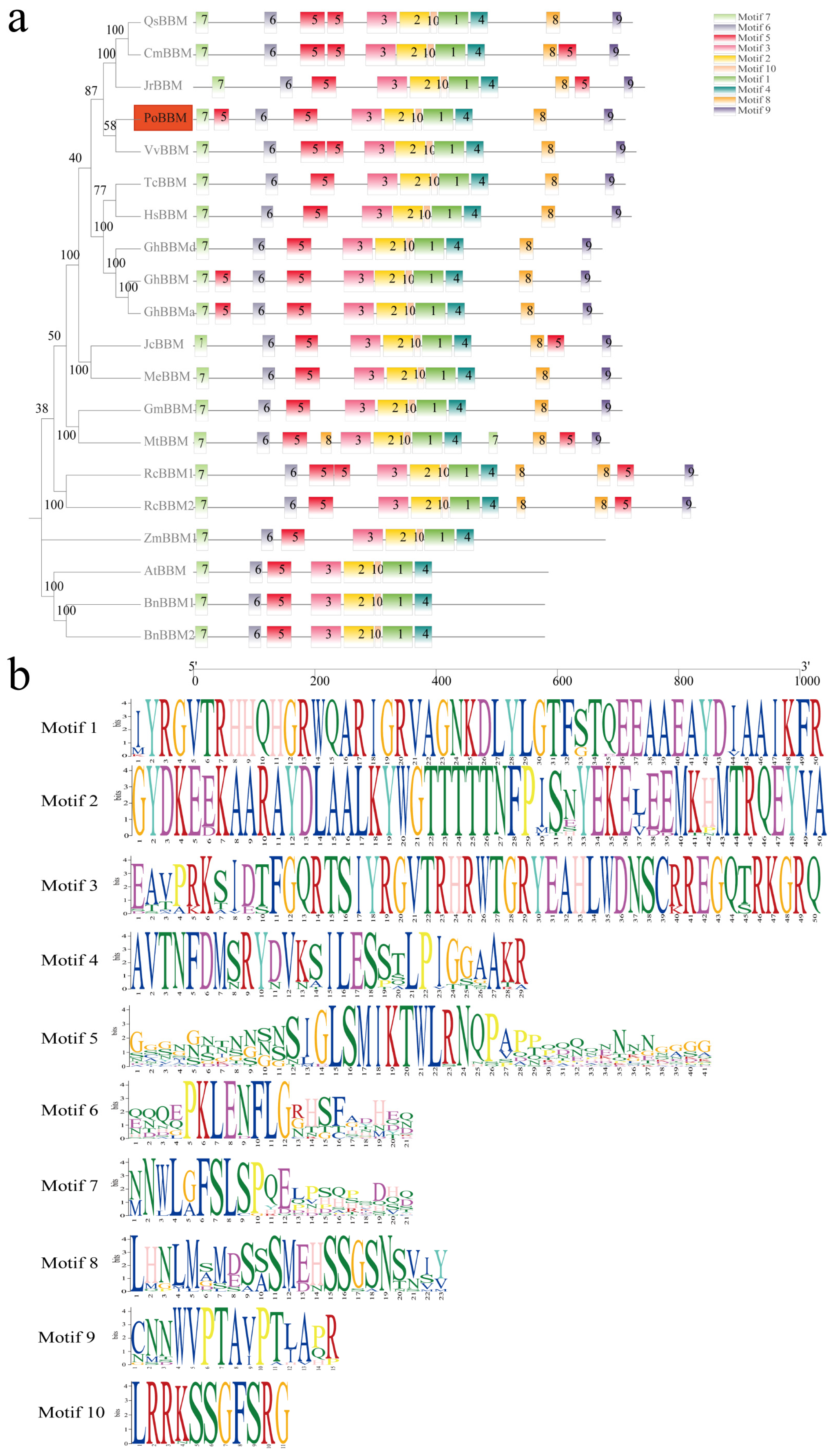 Forests 15 00036 g004