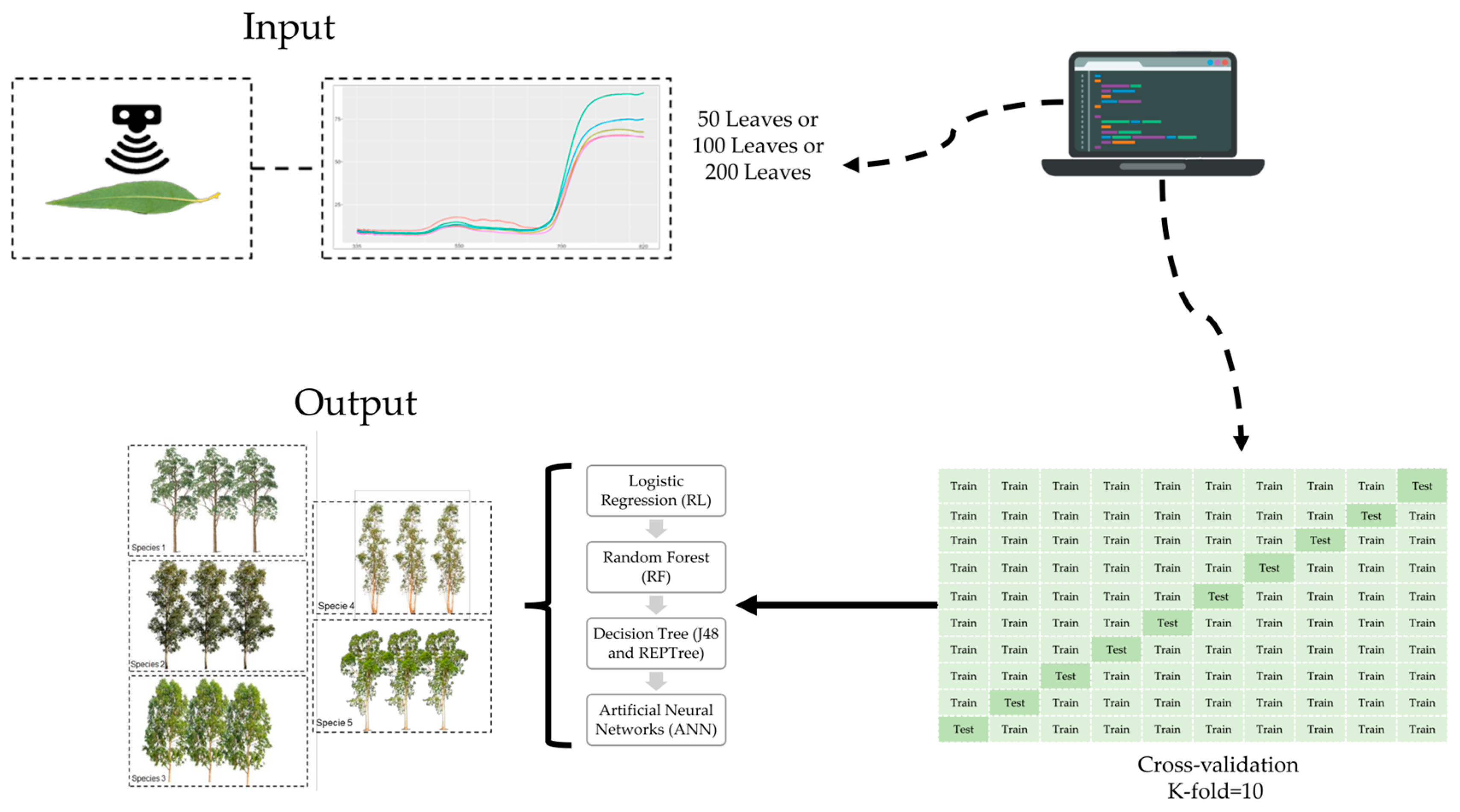 Forests 15 00039 g001