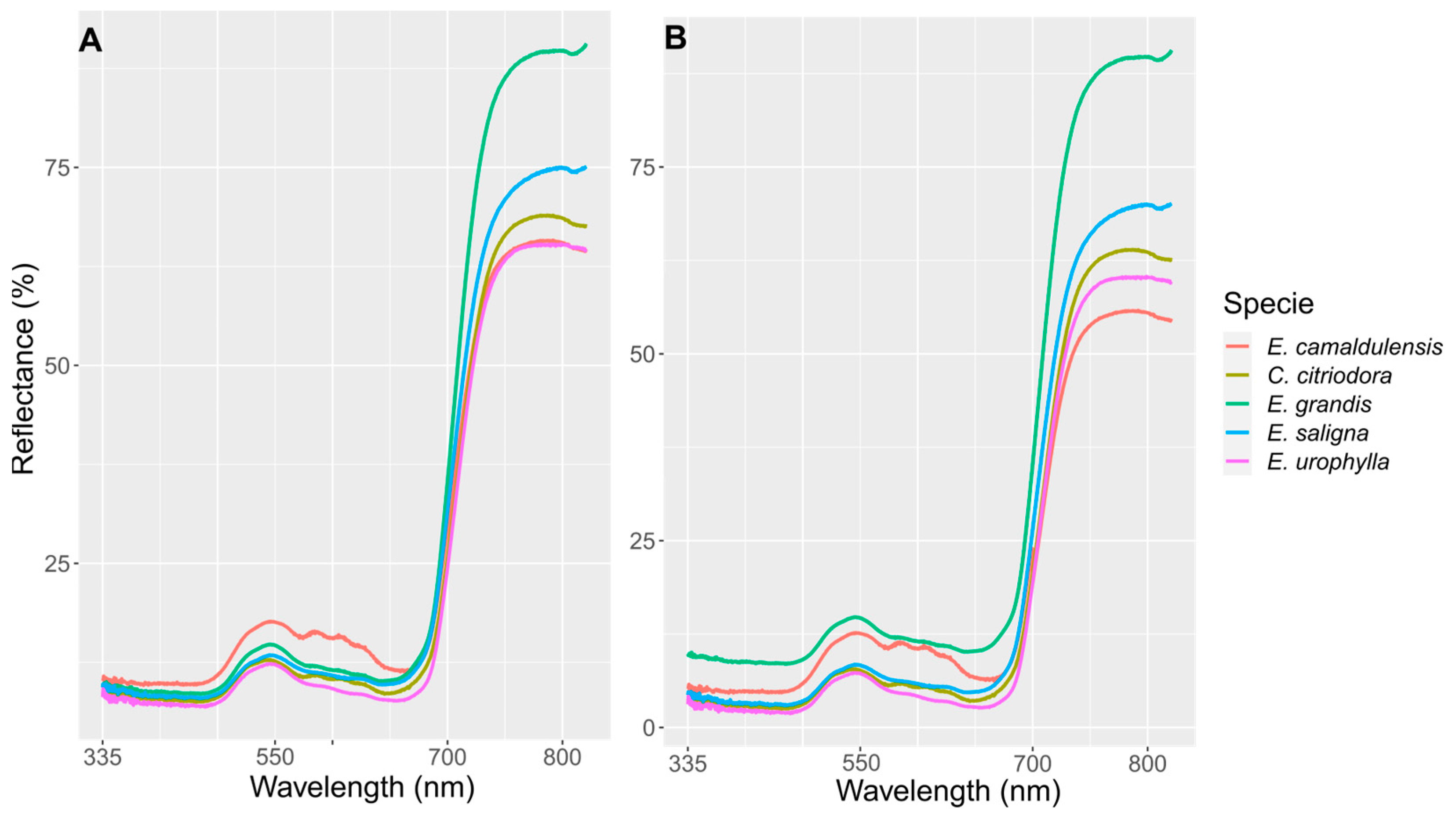 Forests 15 00039 g002