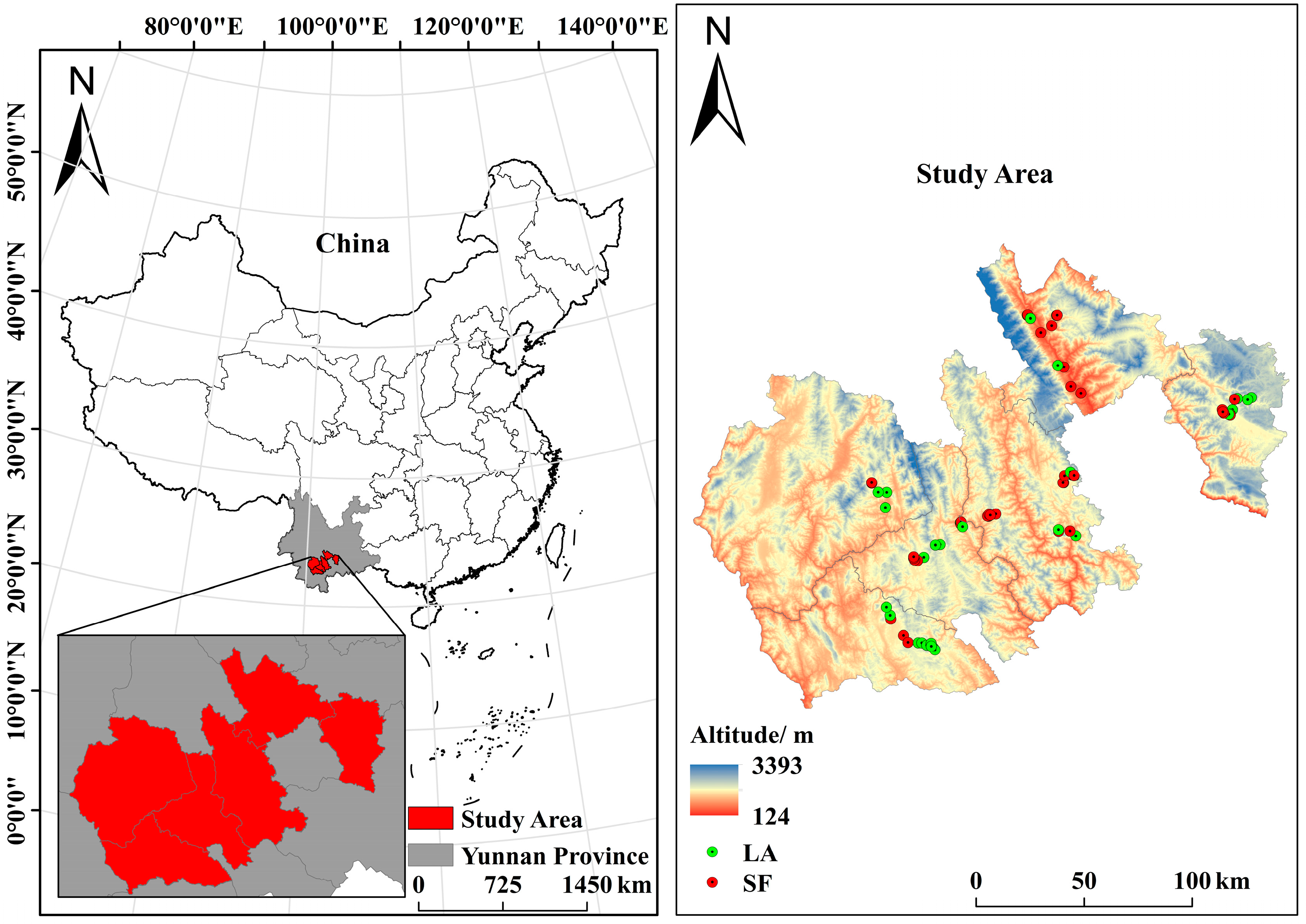 Forests 15 00041 g001