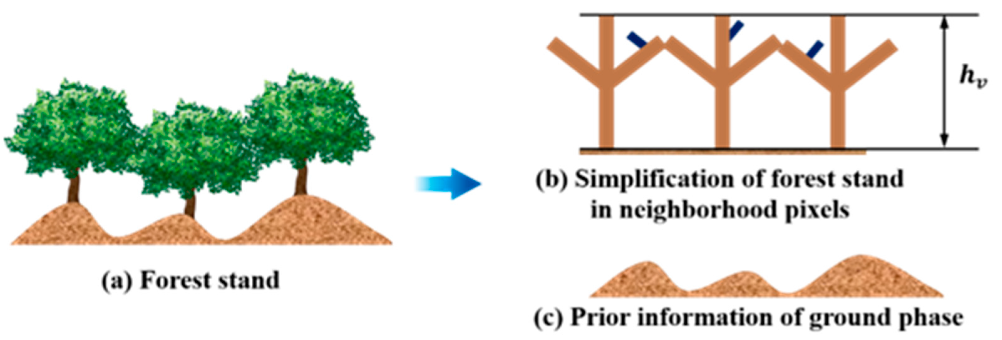 Forests 15 00049 g001