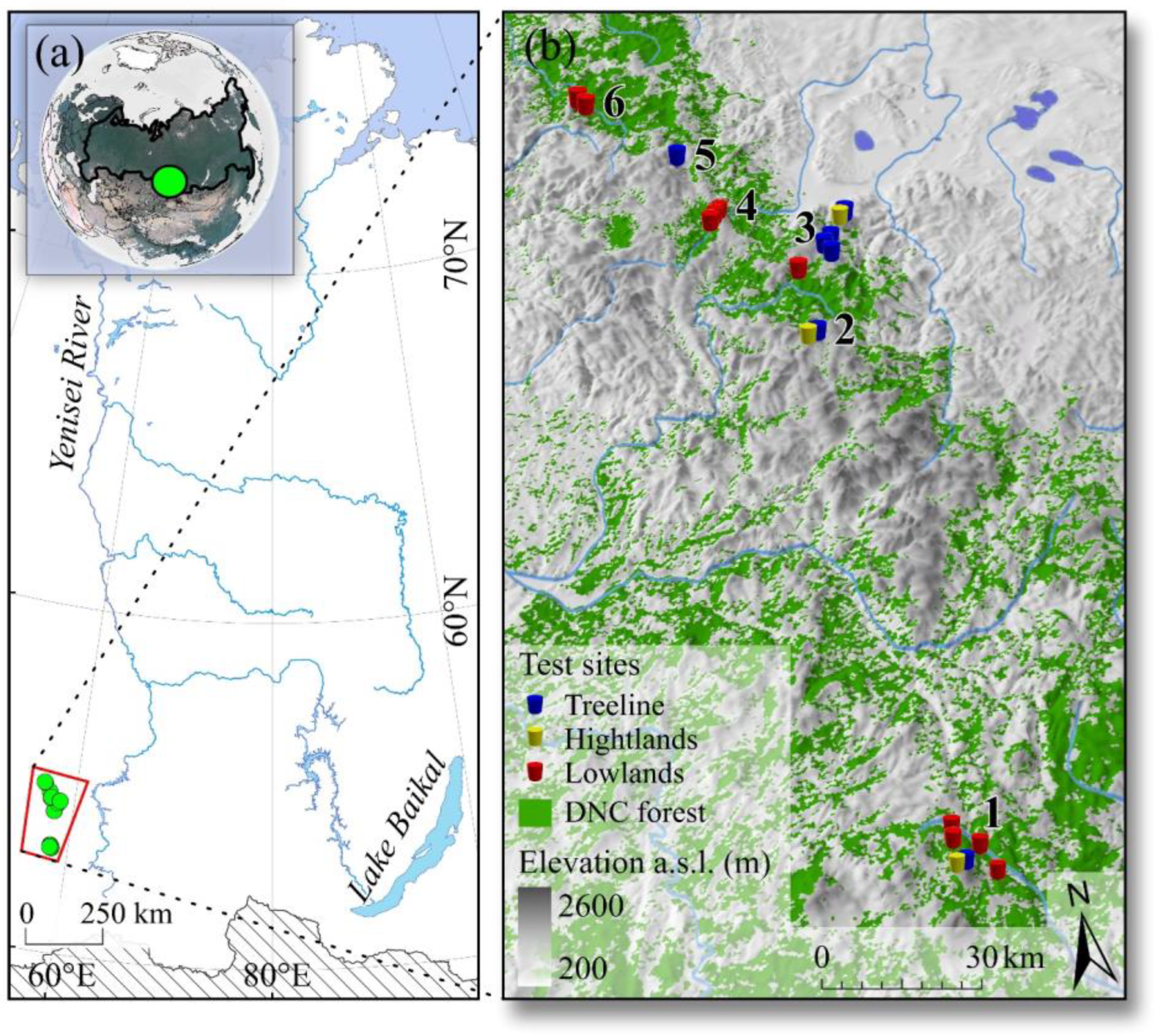 Forests 15 00050 g001