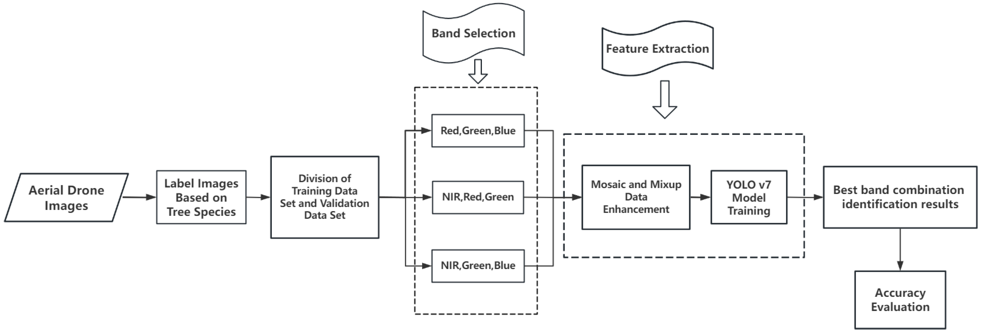 Forests 15 00061 g003