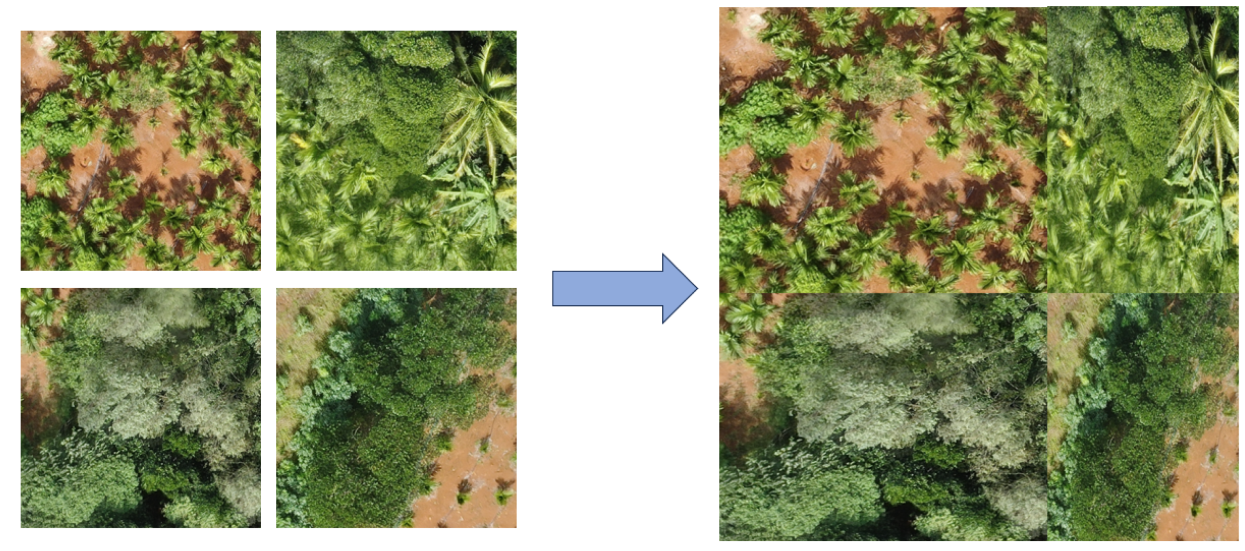 Forests 15 00061 g005