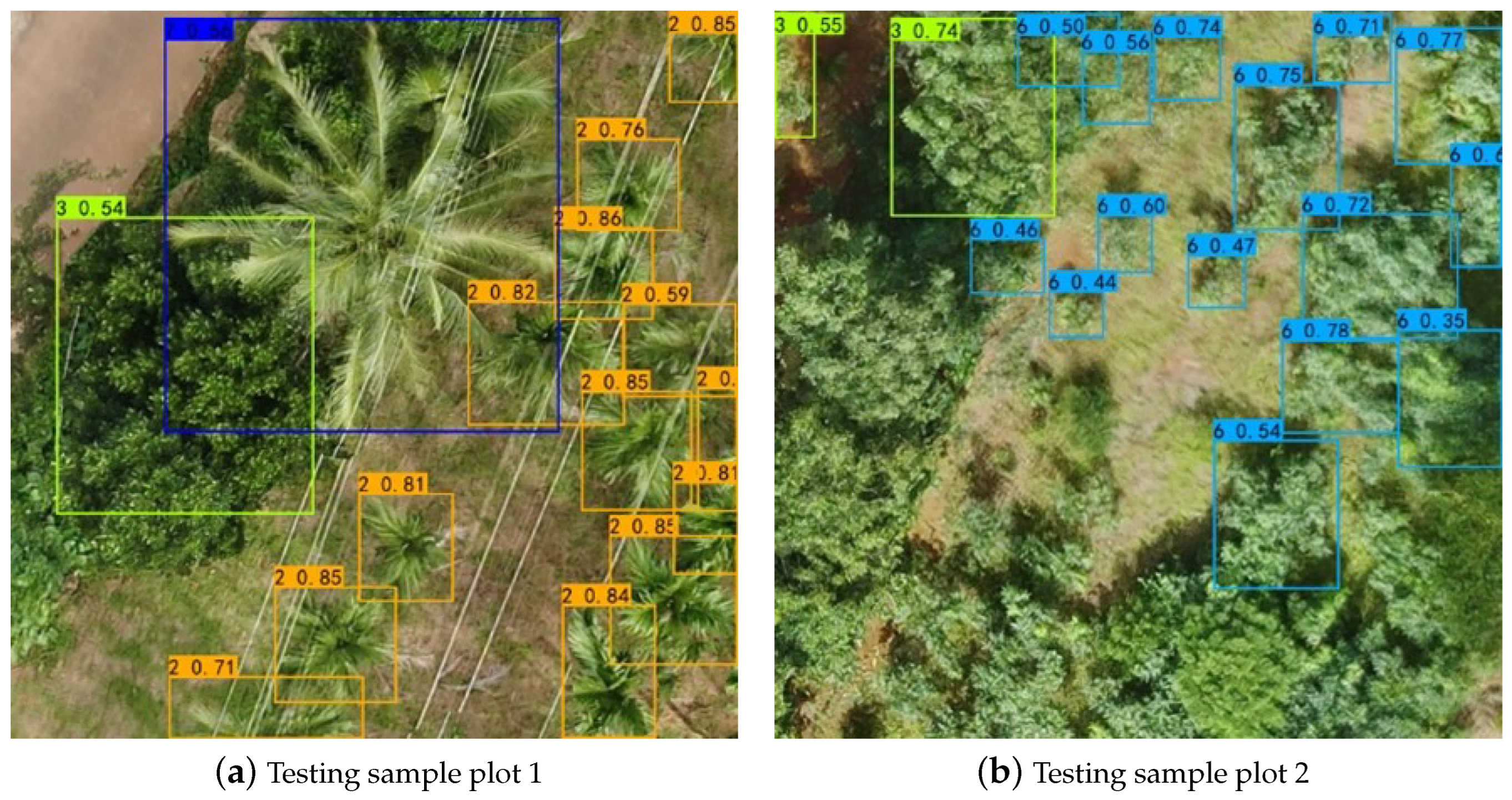 Forests 15 00061 g010