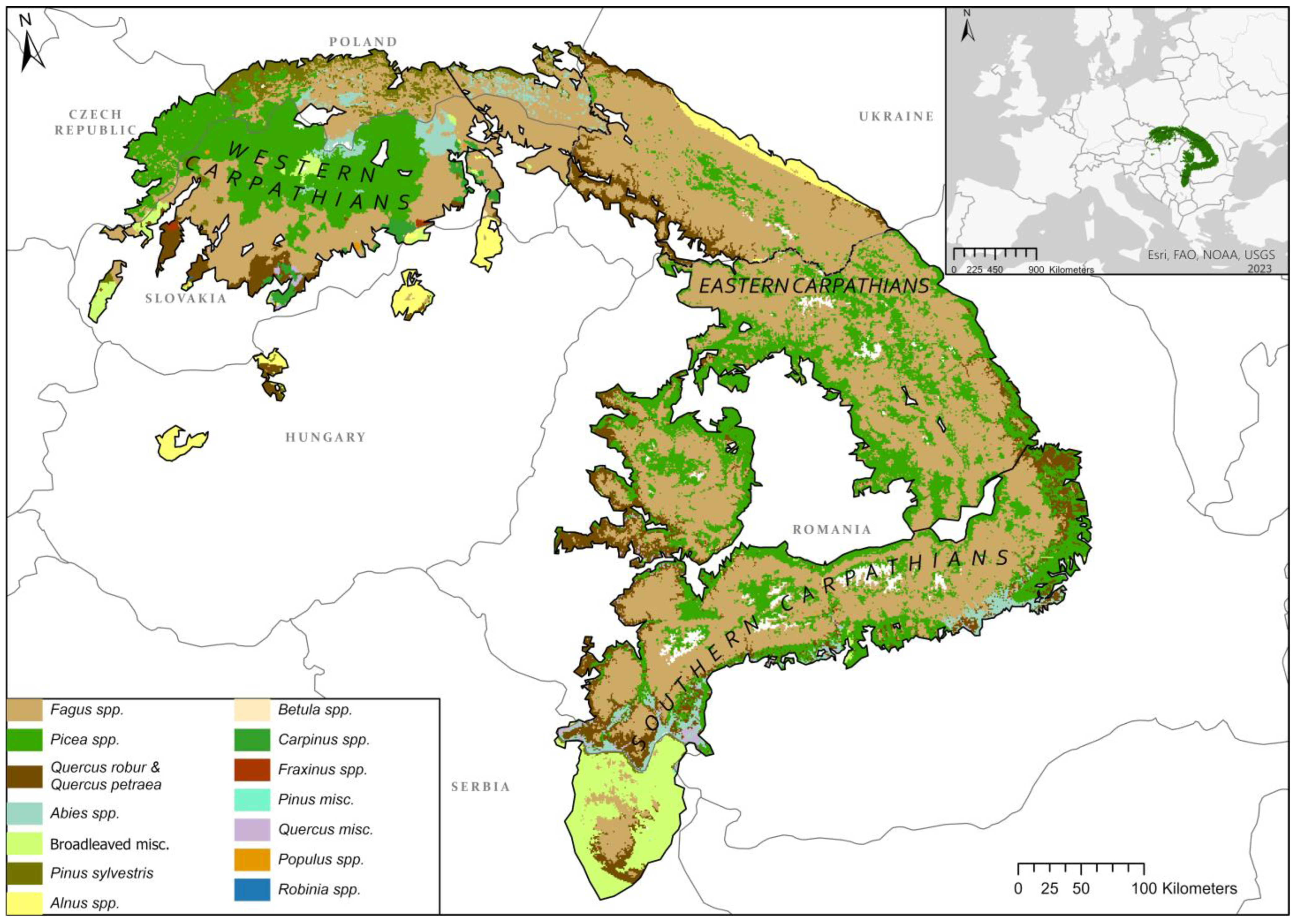 Forests Free Full Text Carpathian Forests Past and Recent