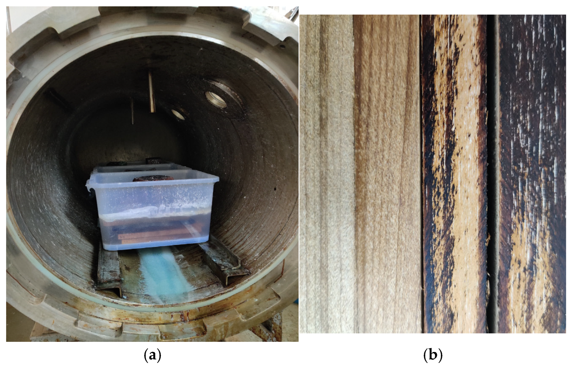Forests 15 00066 g001