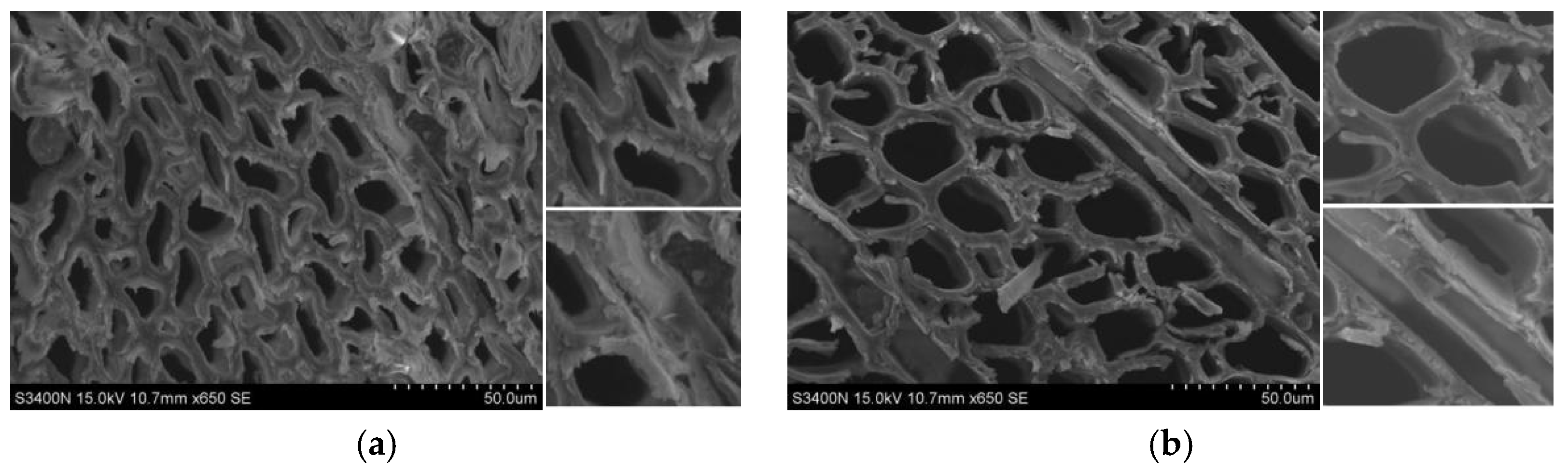 Forests 15 00066 g006