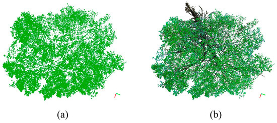 Automatic Separation of Photosynthetic Components in a LiDAR