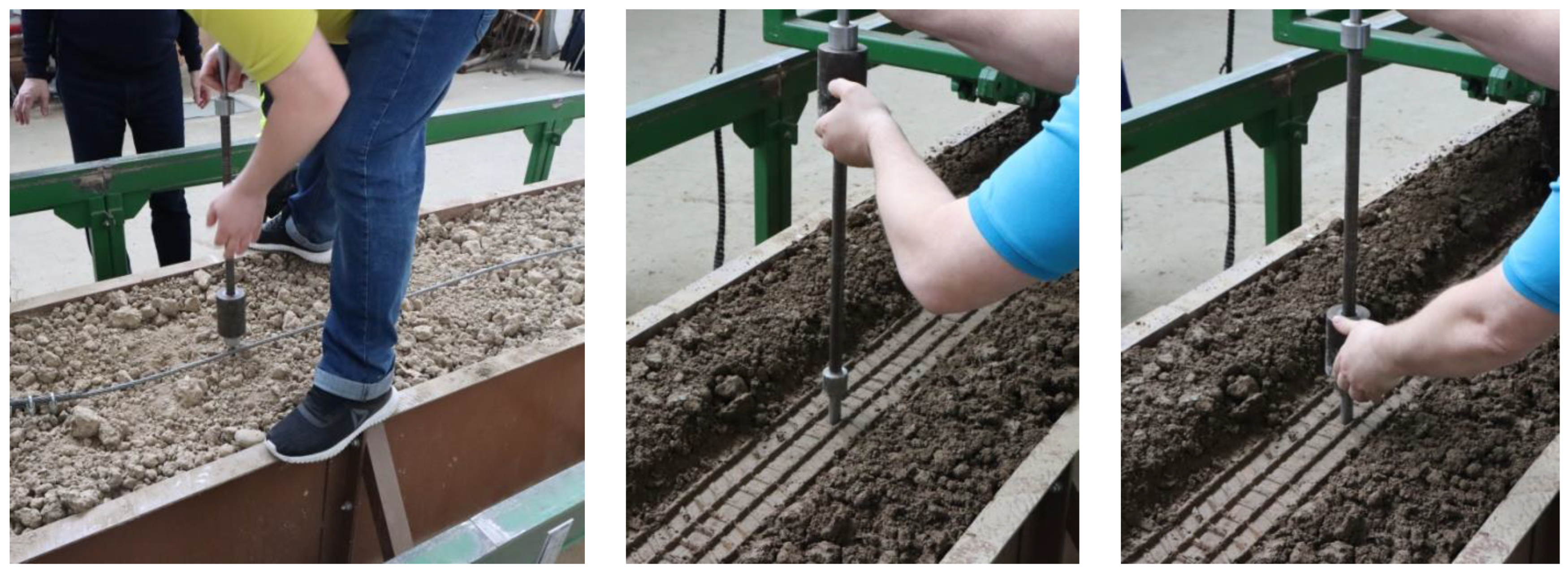 Forests 15 00074 g012