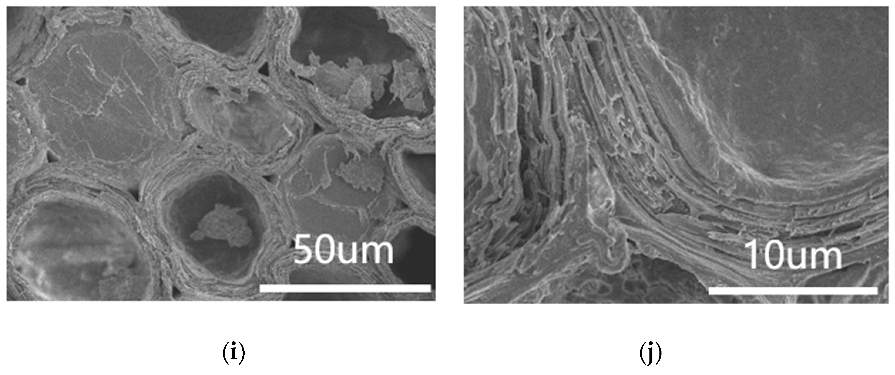 Forests 15 00079 g006b