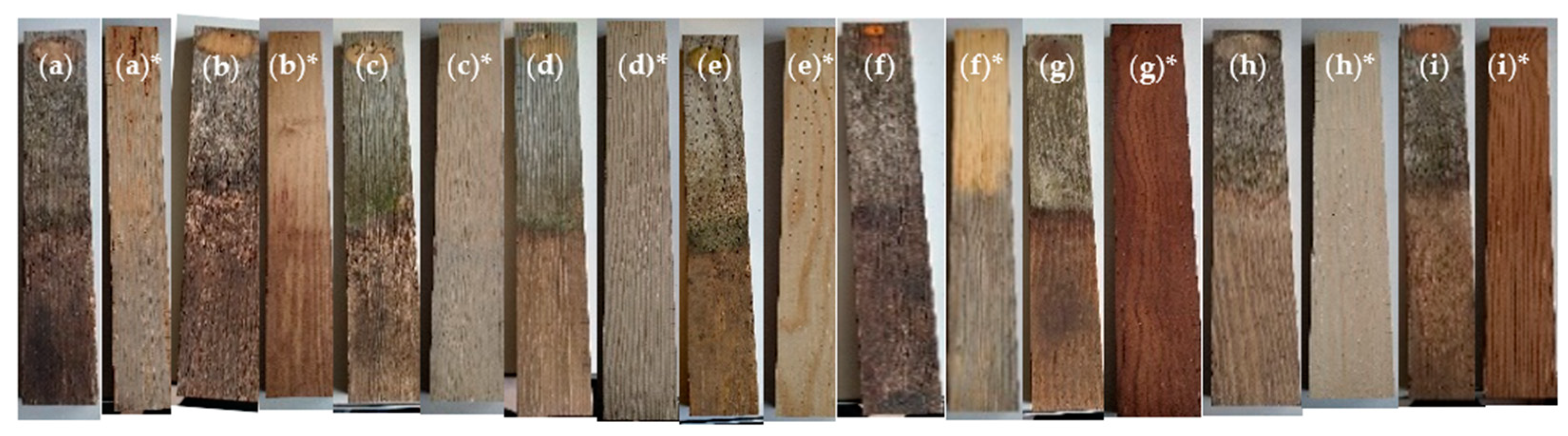 Forests 15 00080 g010