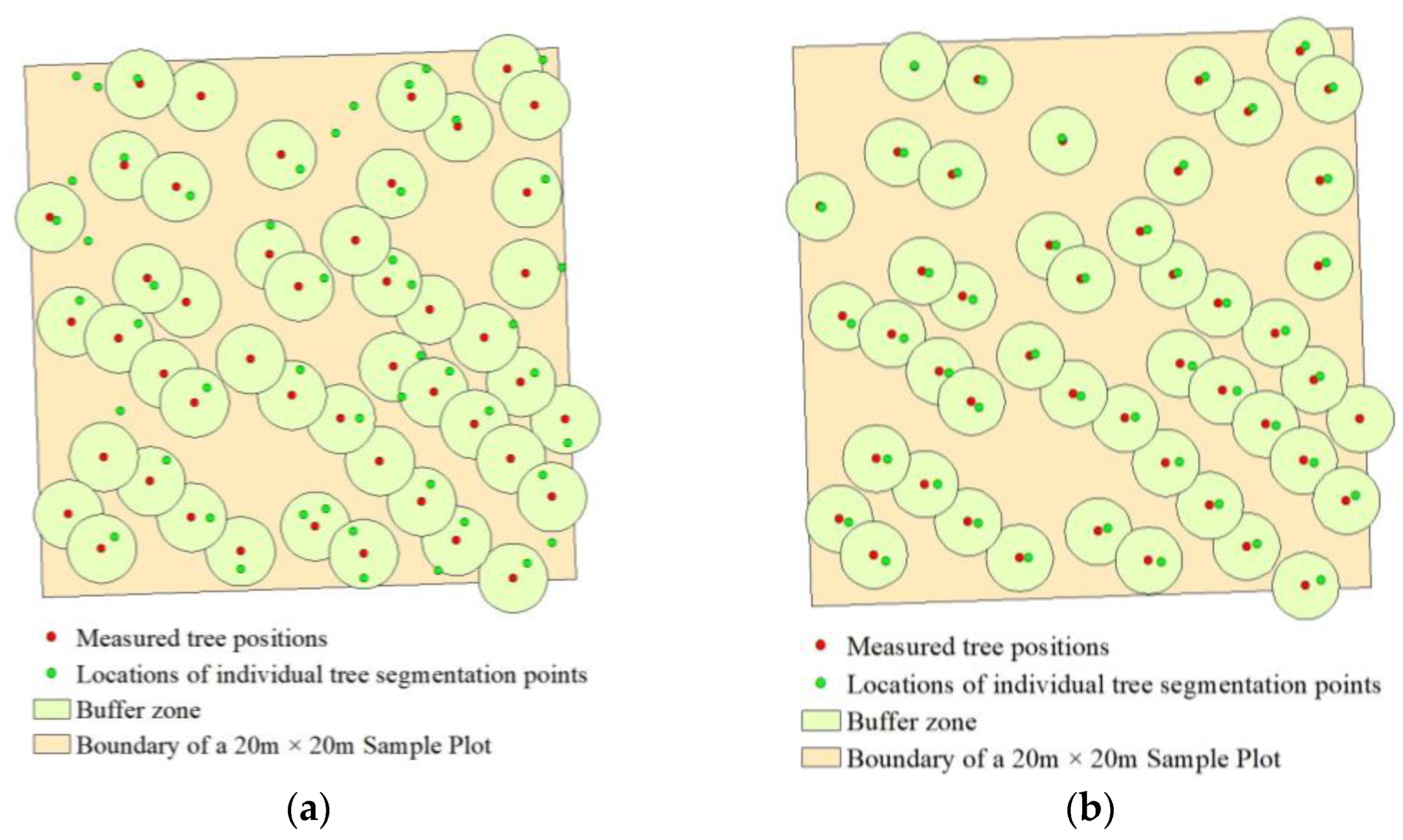 Forests 15 00081 g005