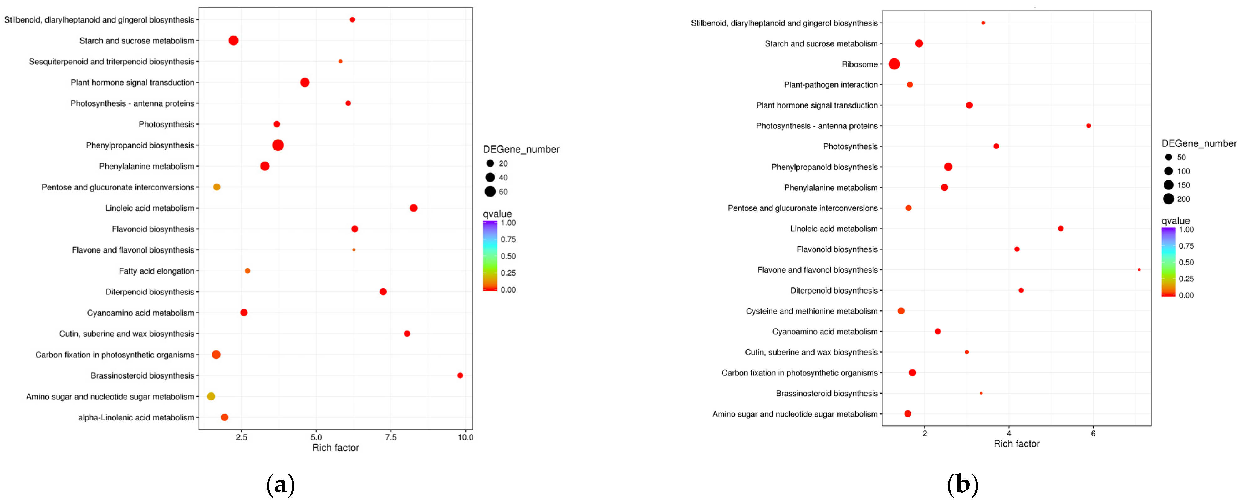 Forests 15 00085 g006