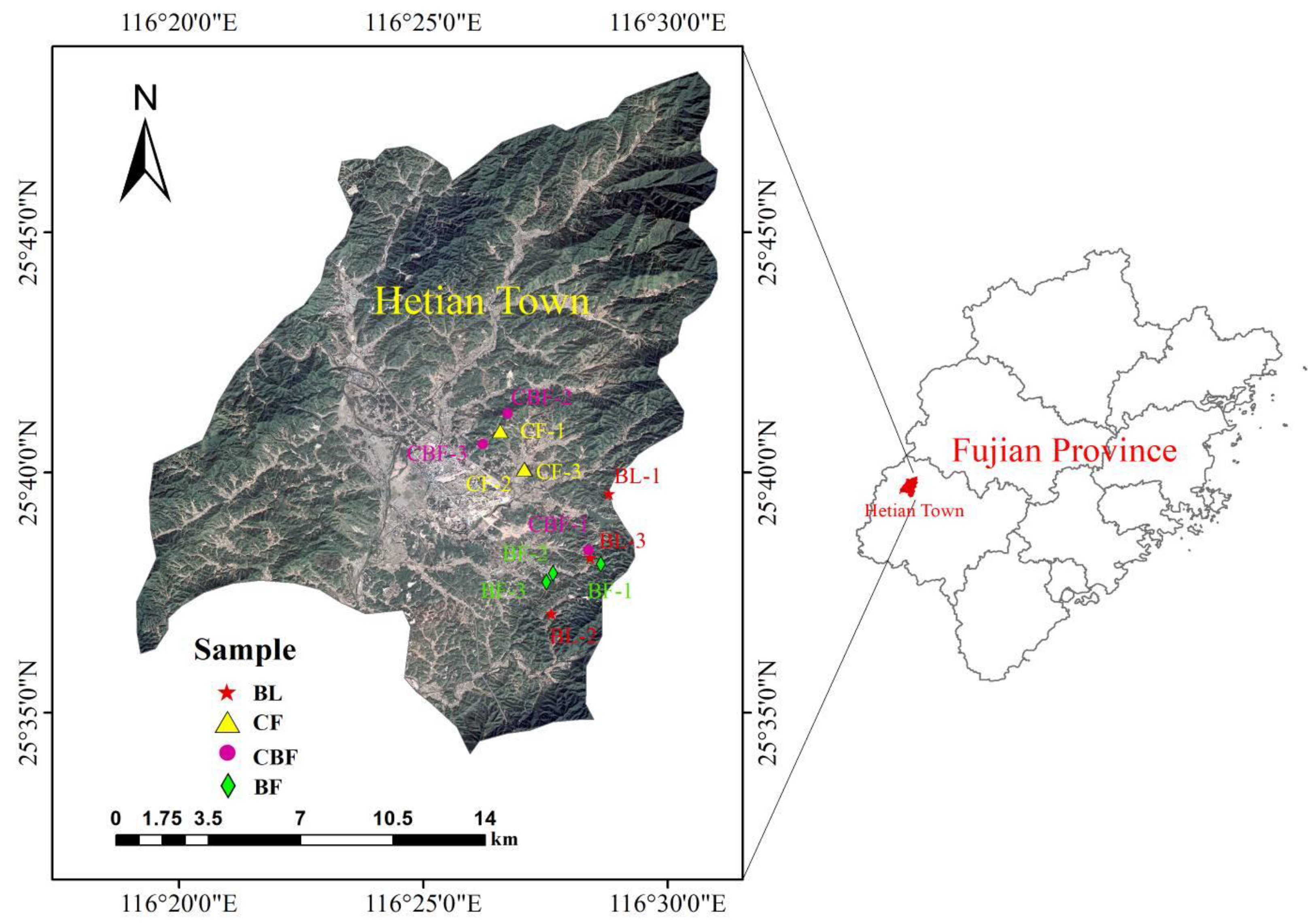 Forests 15 00089 g001