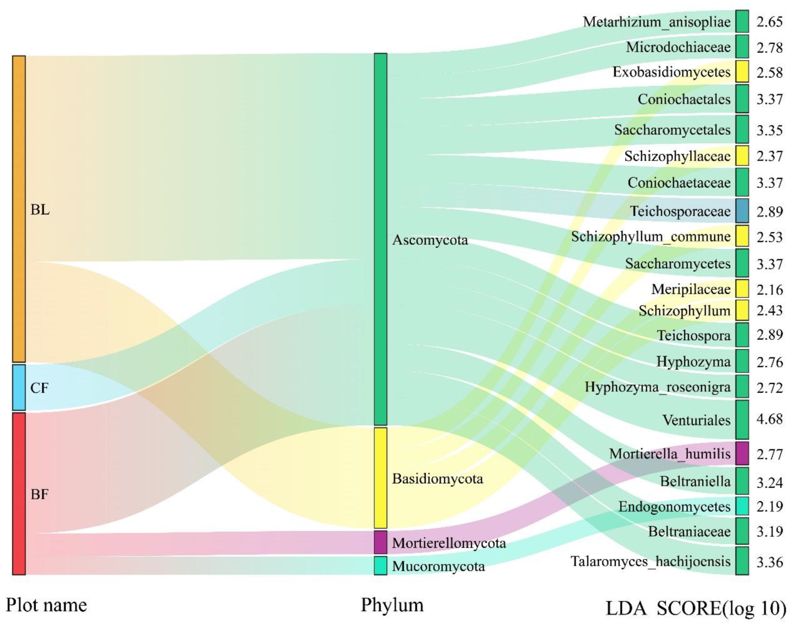 Forests 15 00089 g007