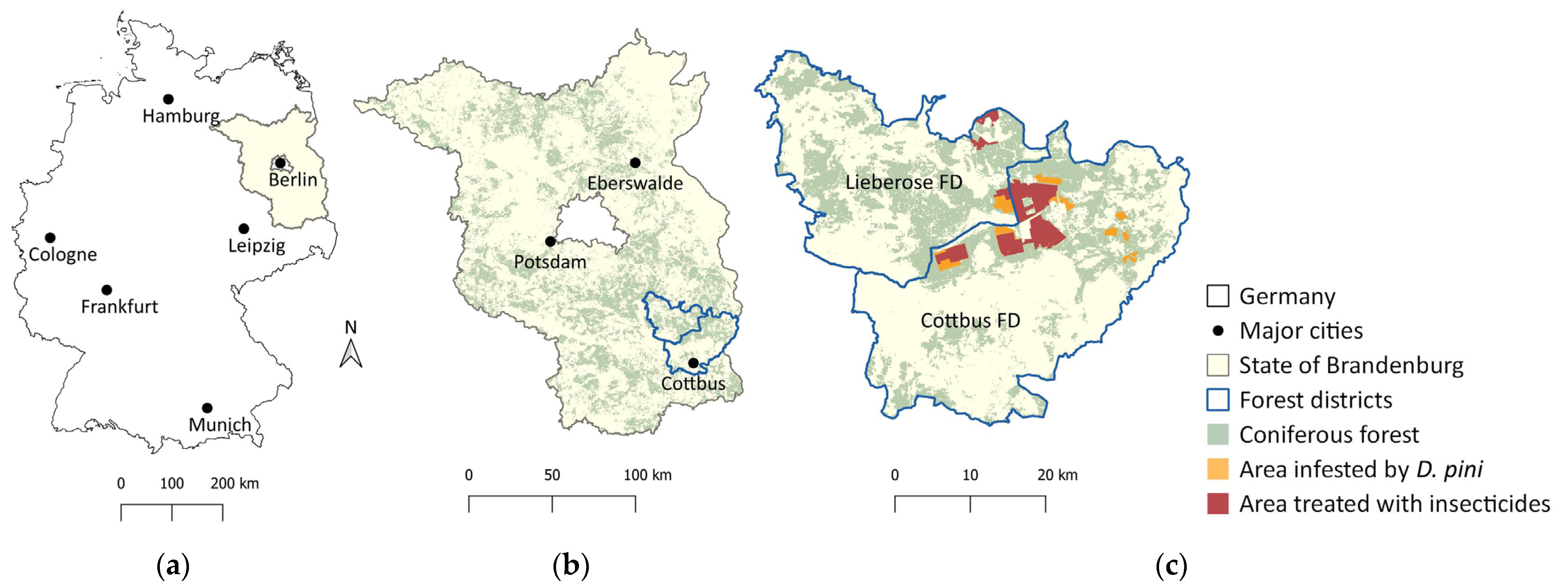 Forests 15 00104 g002