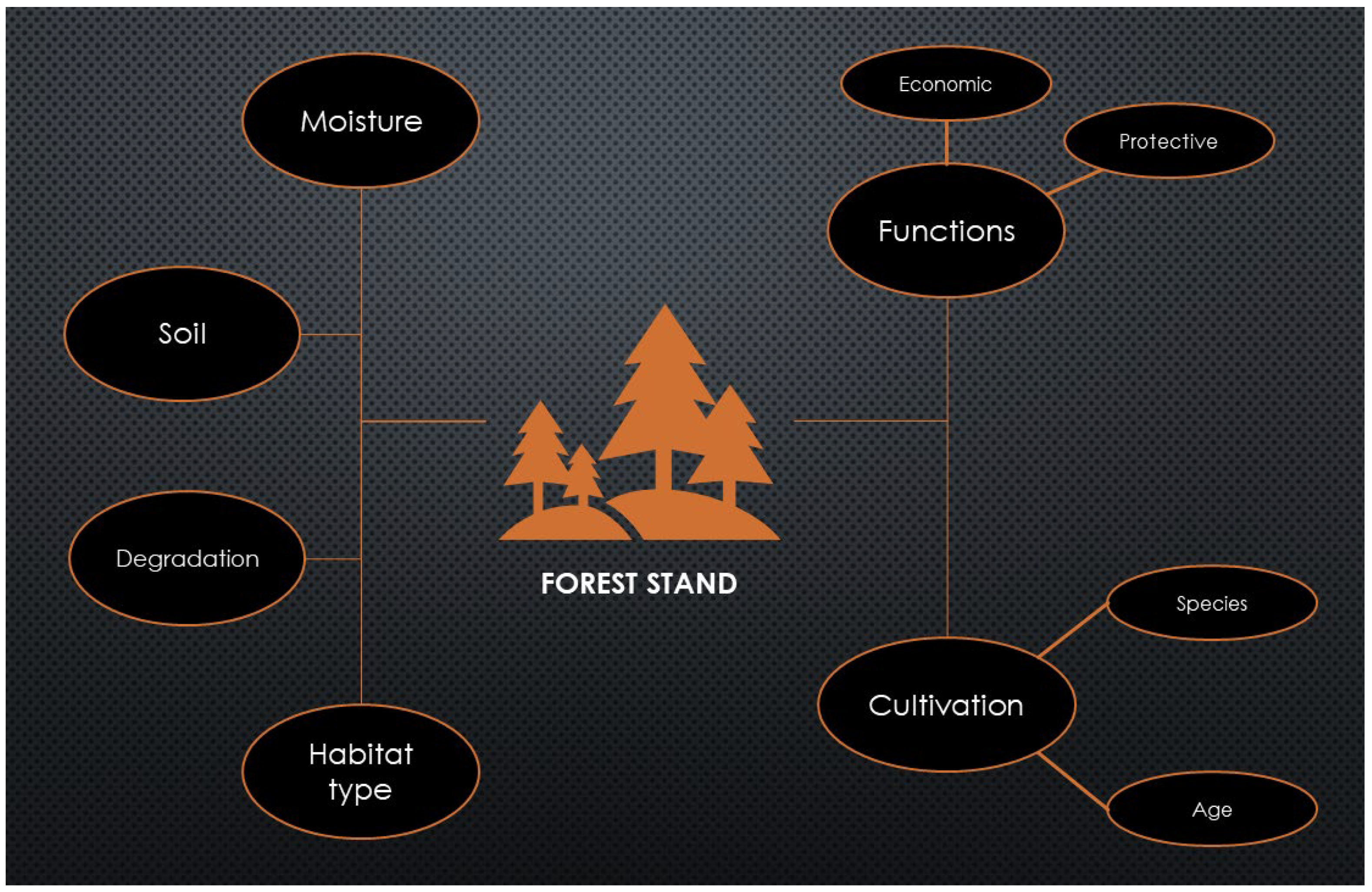 Forests 15 00108 g001
