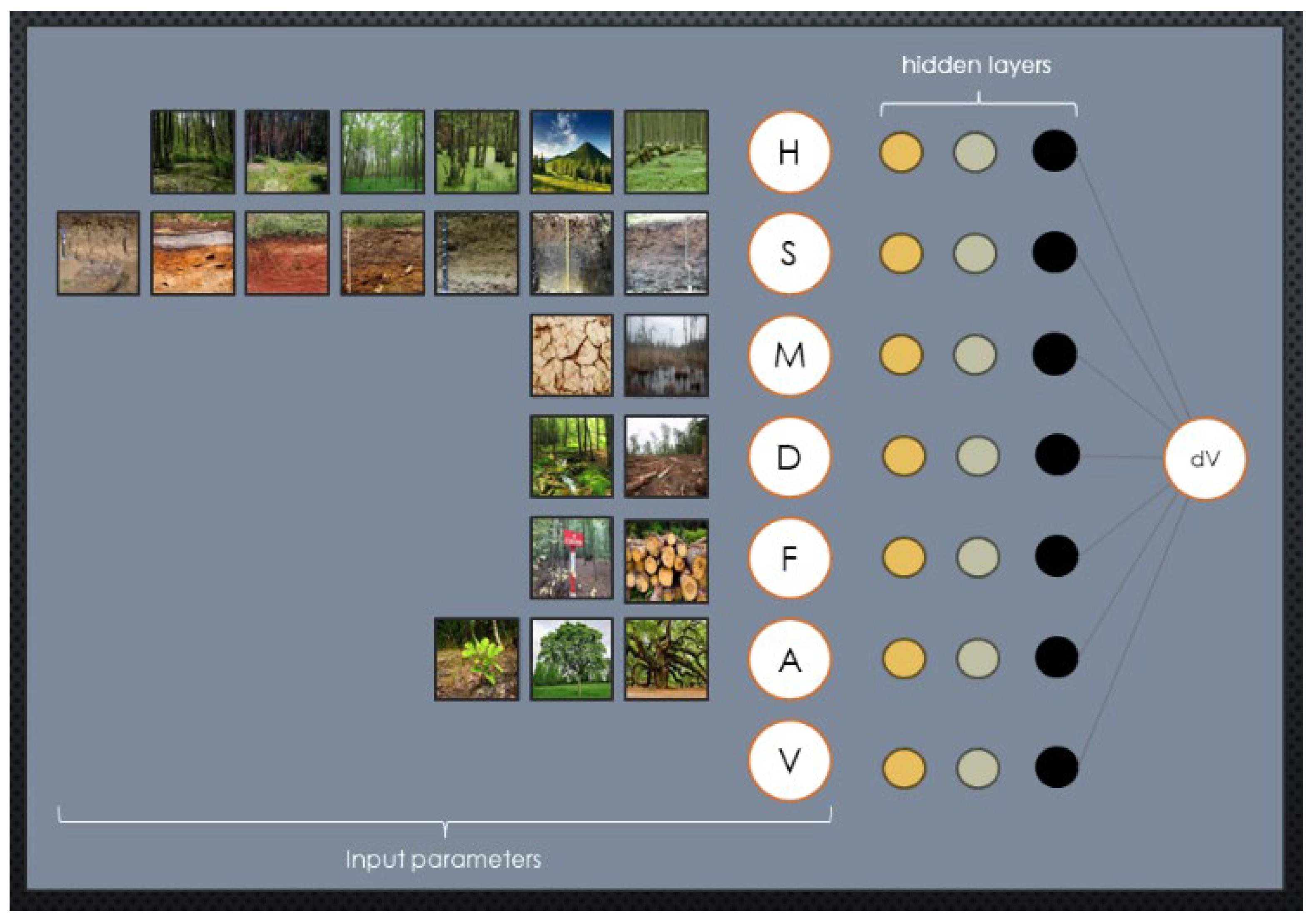 Forests 15 00108 g004