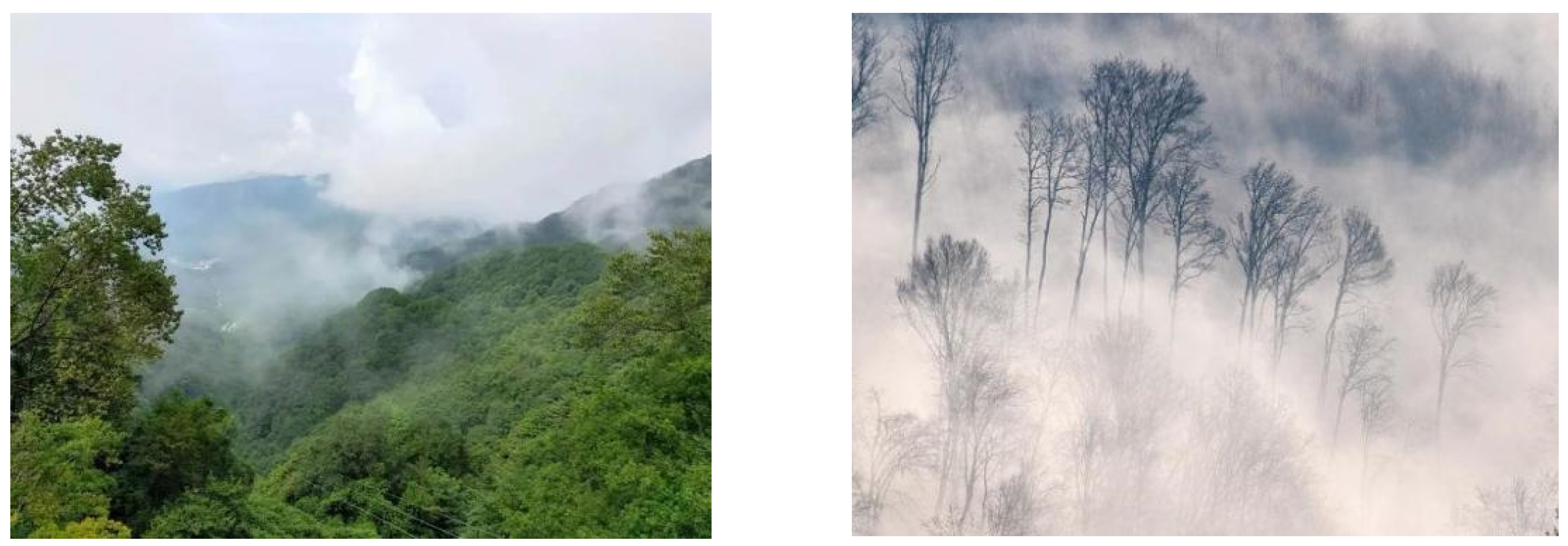 Forests 15 00111 g008