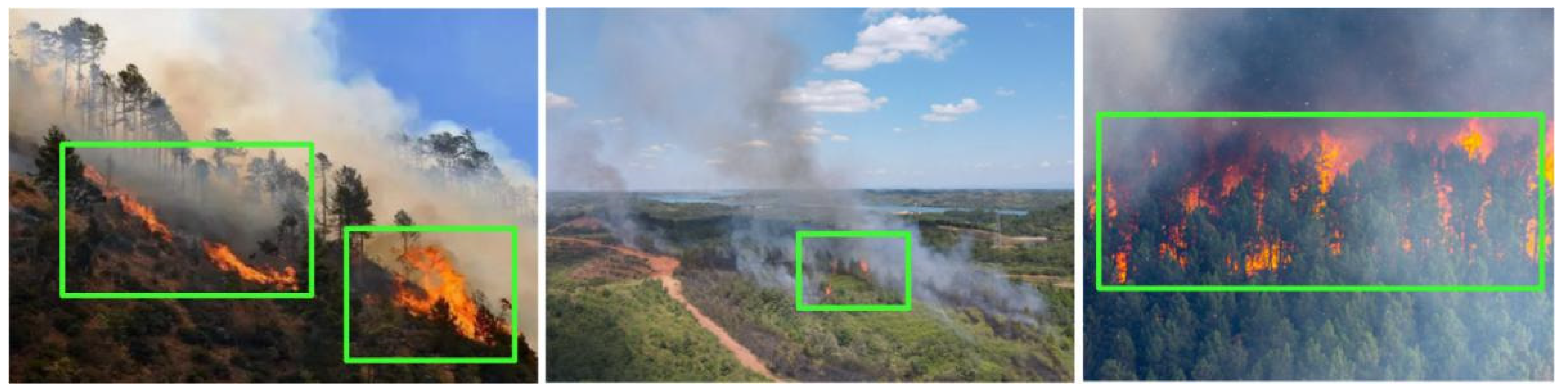 Forests 15 00111 g009