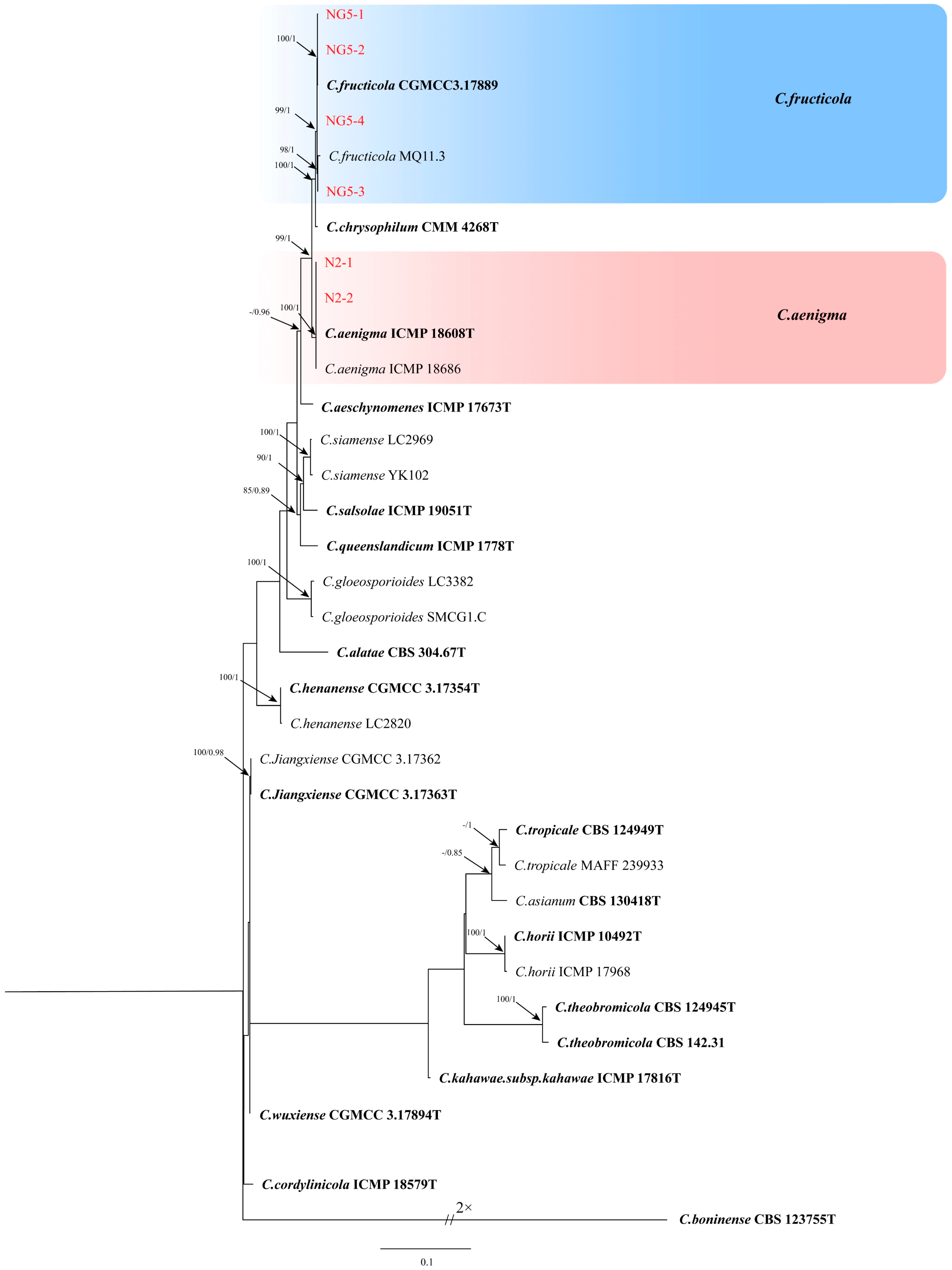 Forests 15 00117 g003