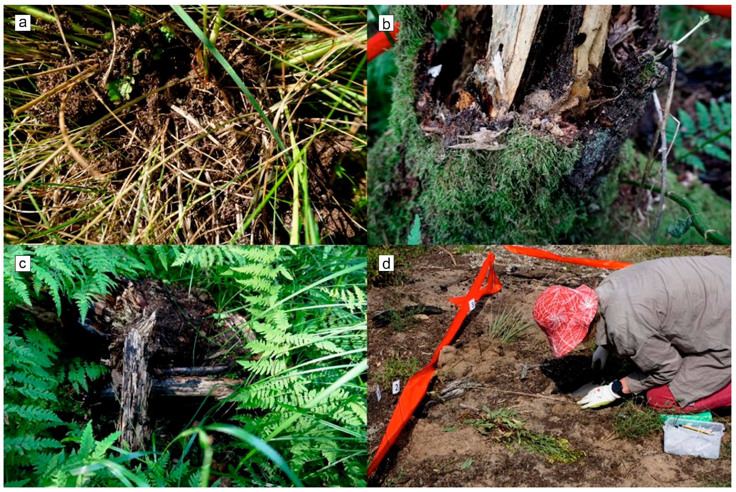 Forests 15 00123 g003