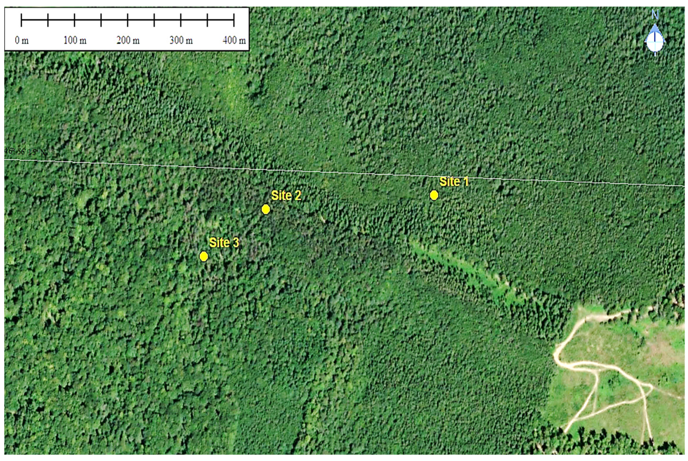Forests 15 00124 g001 Forests 15 00124 g001