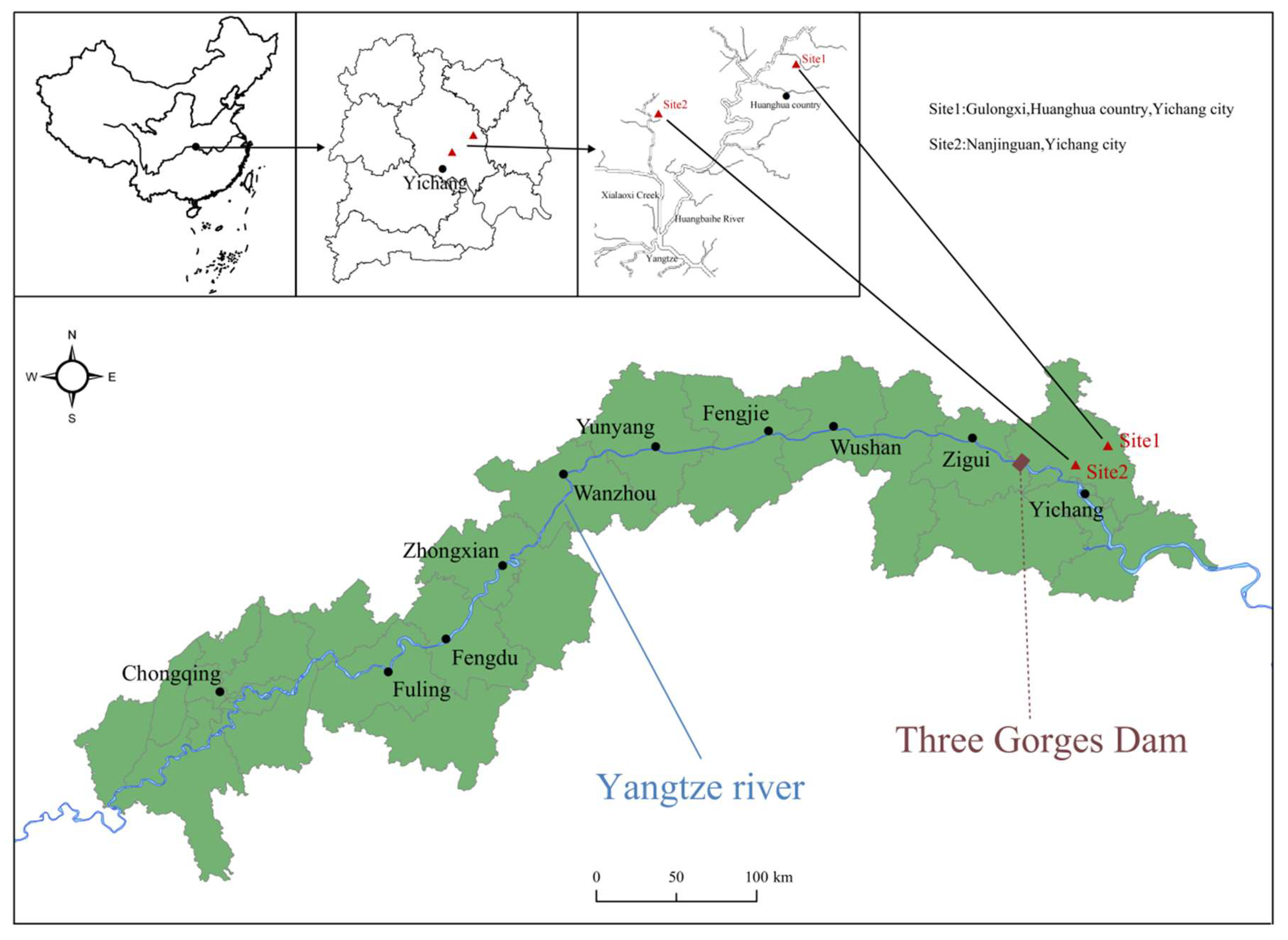 Forests 15 00125 g002