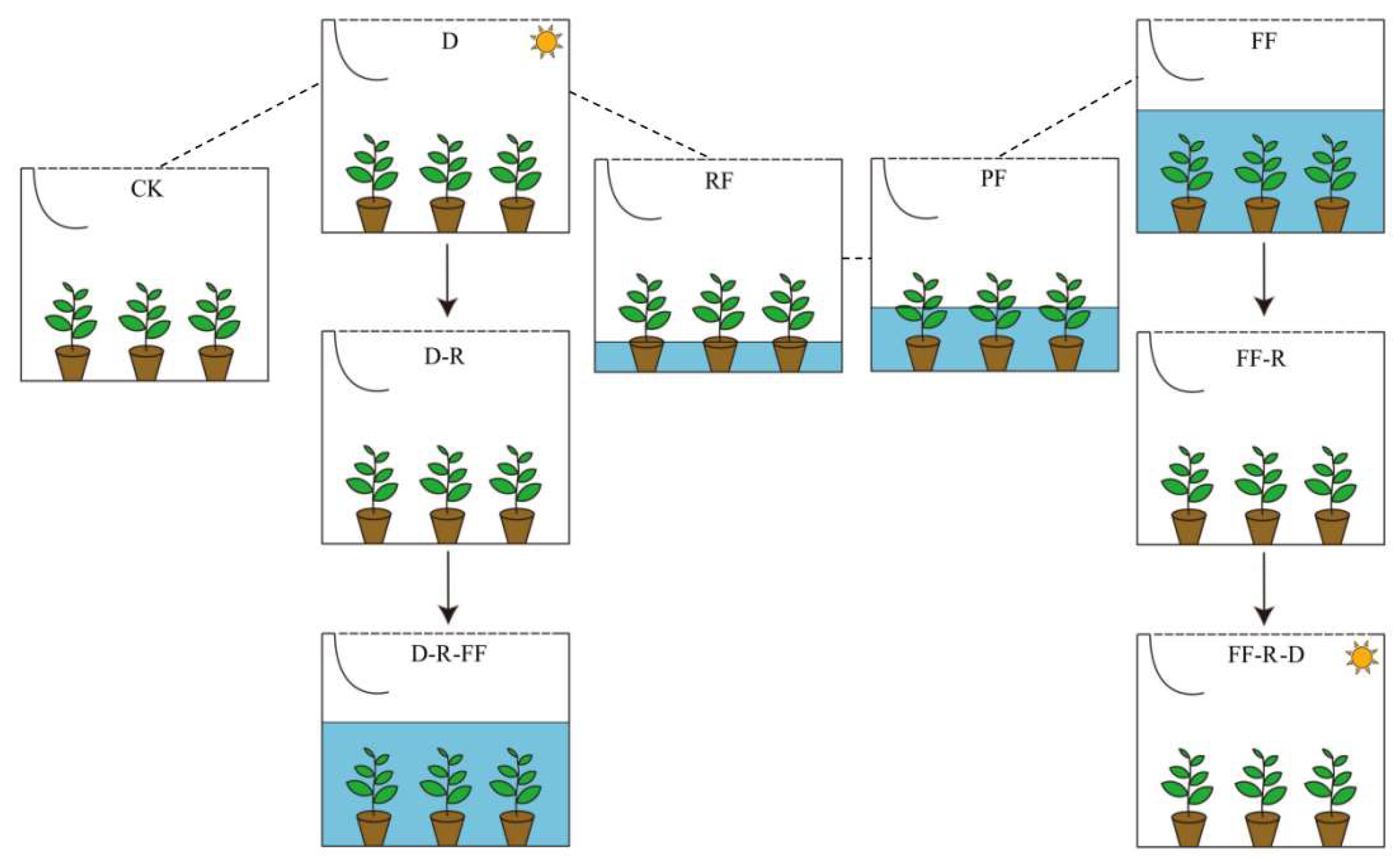 Forests 15 00125 g003