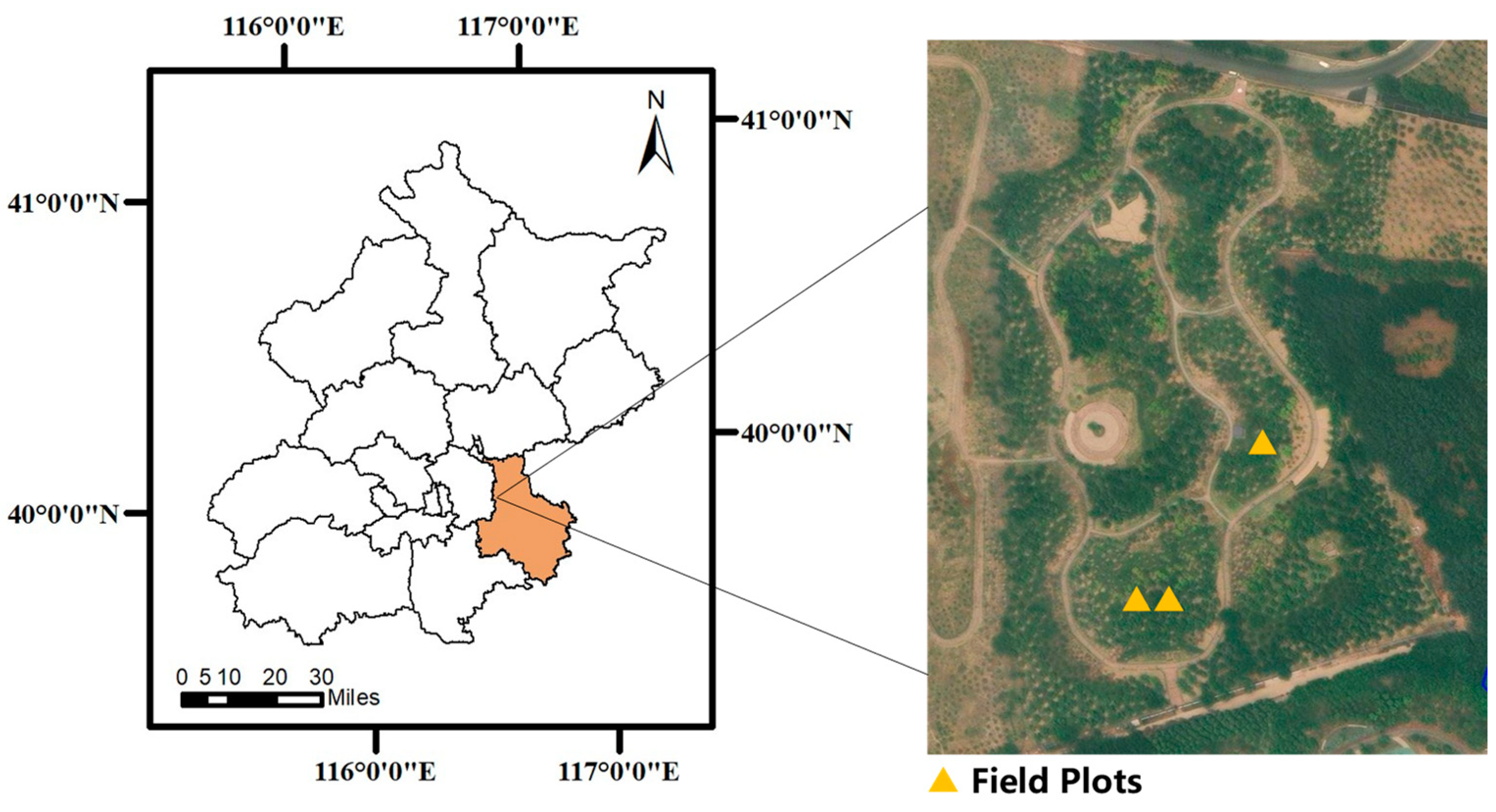Forests 15 00136 g001